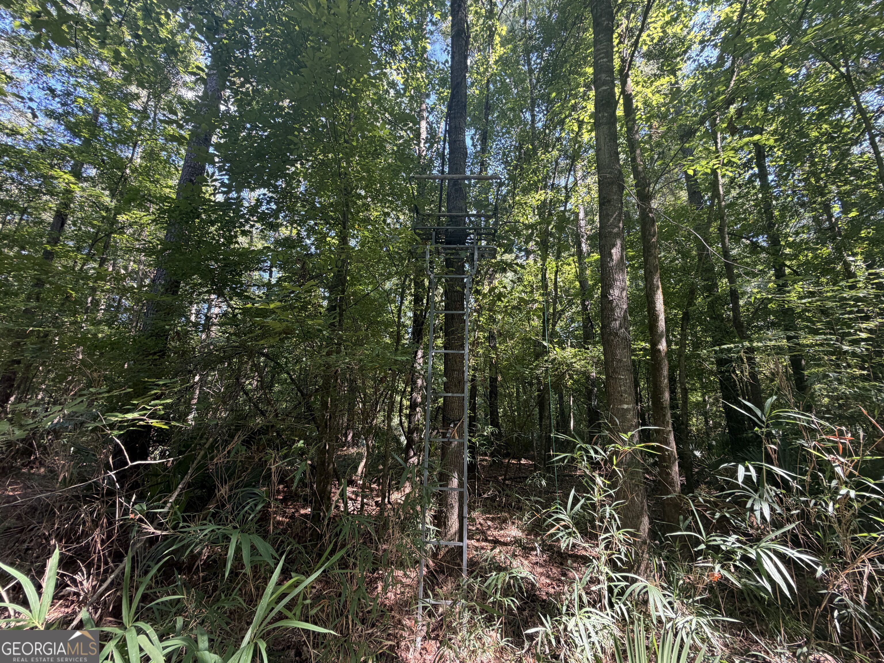0 Highway 102 Property Photo 61