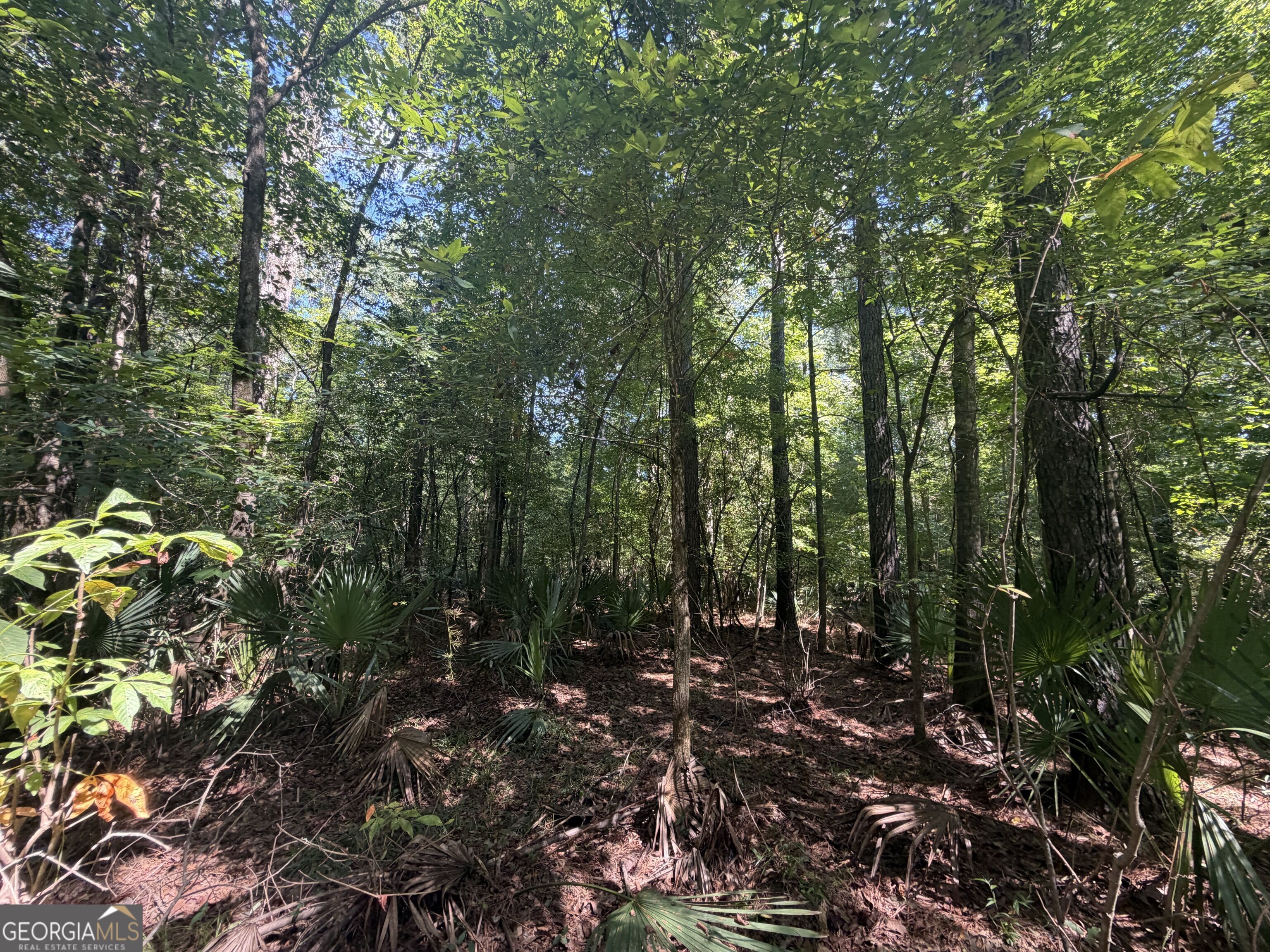 0 Highway 102 Property Photo 62