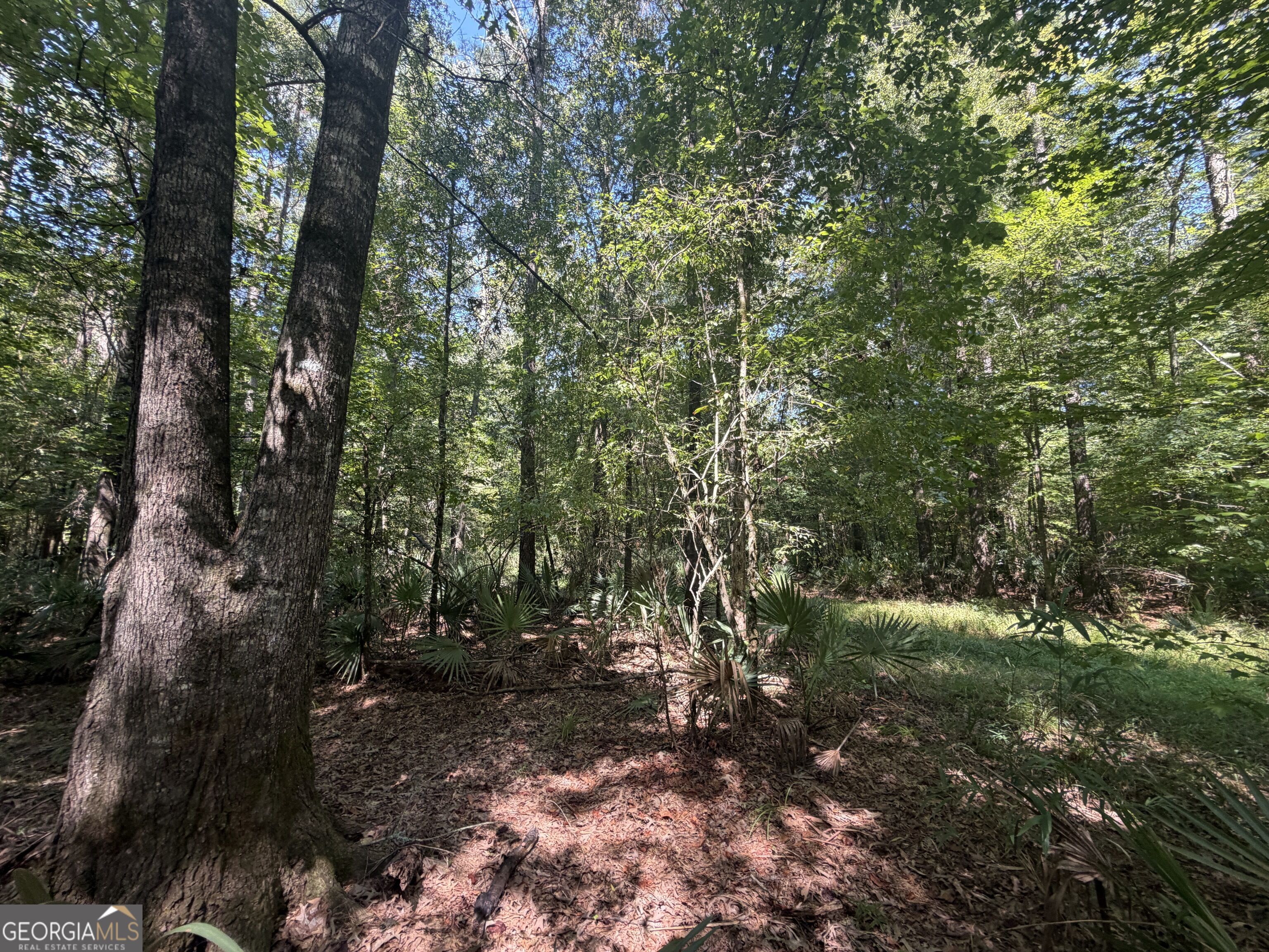 0 Highway 102 Property Photo 63