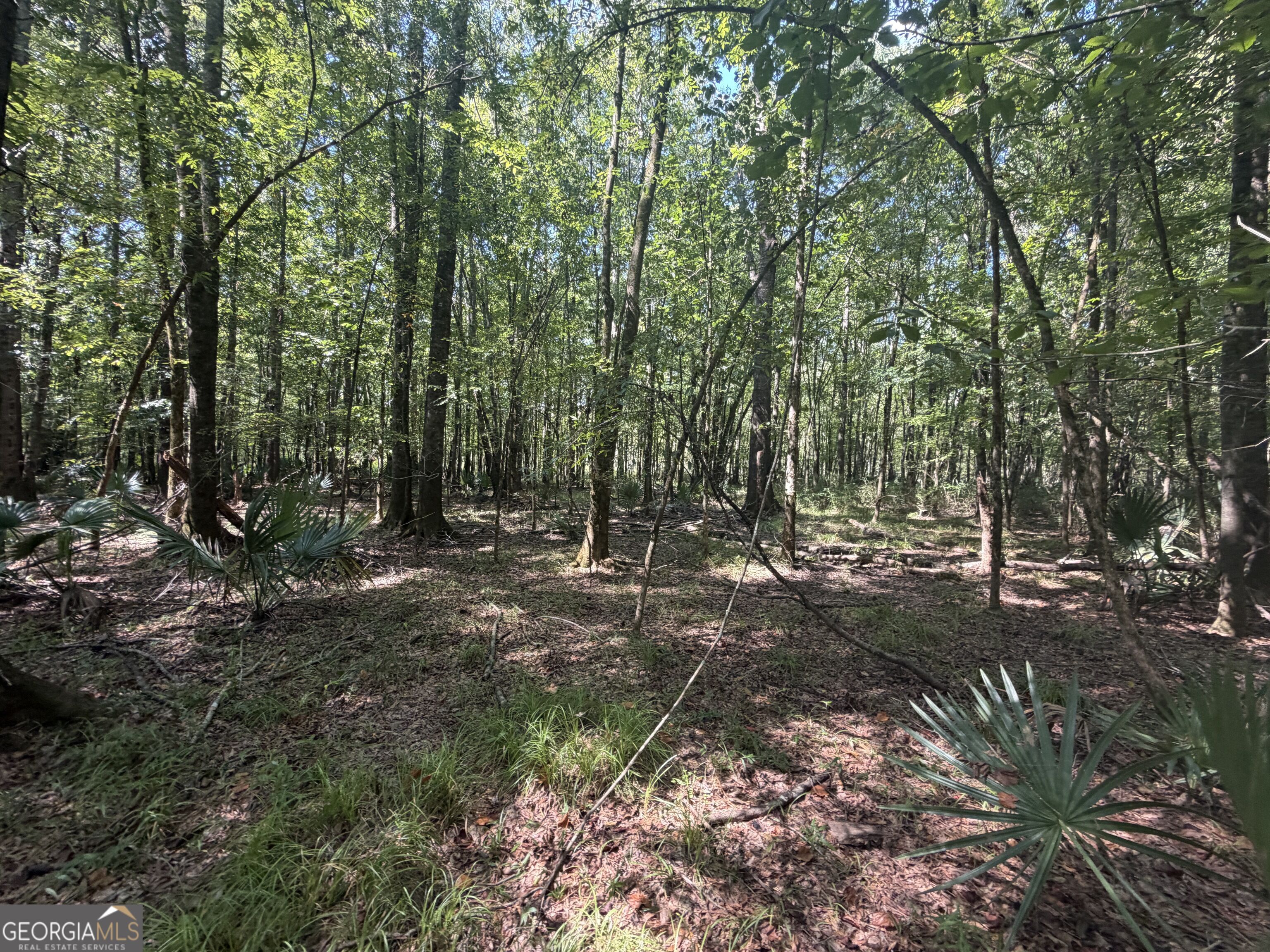 0 Highway 102 Property Photo 64