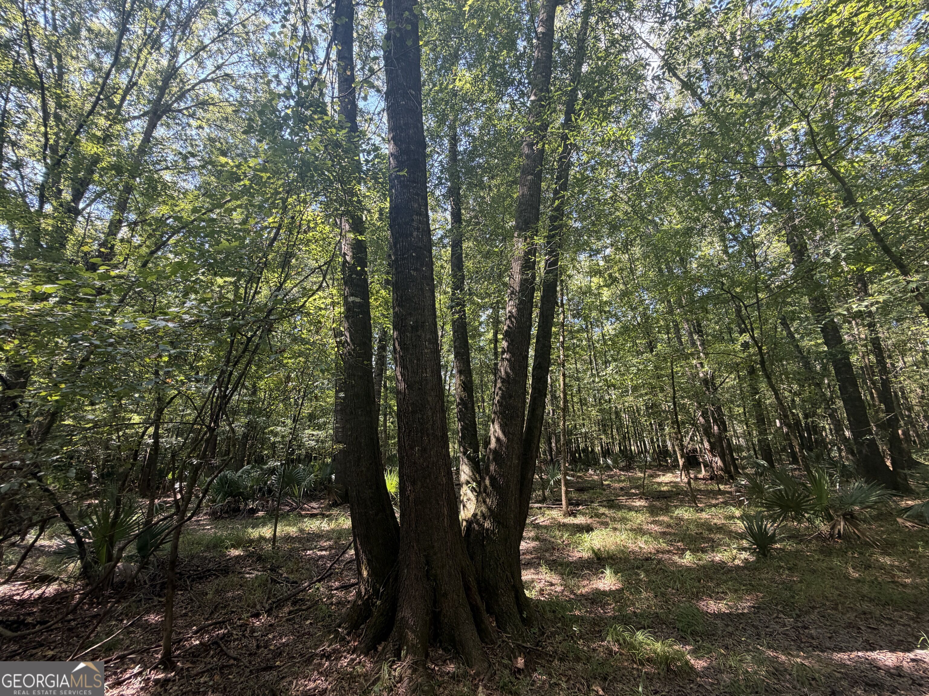 0 Highway 102 Property Photo 65