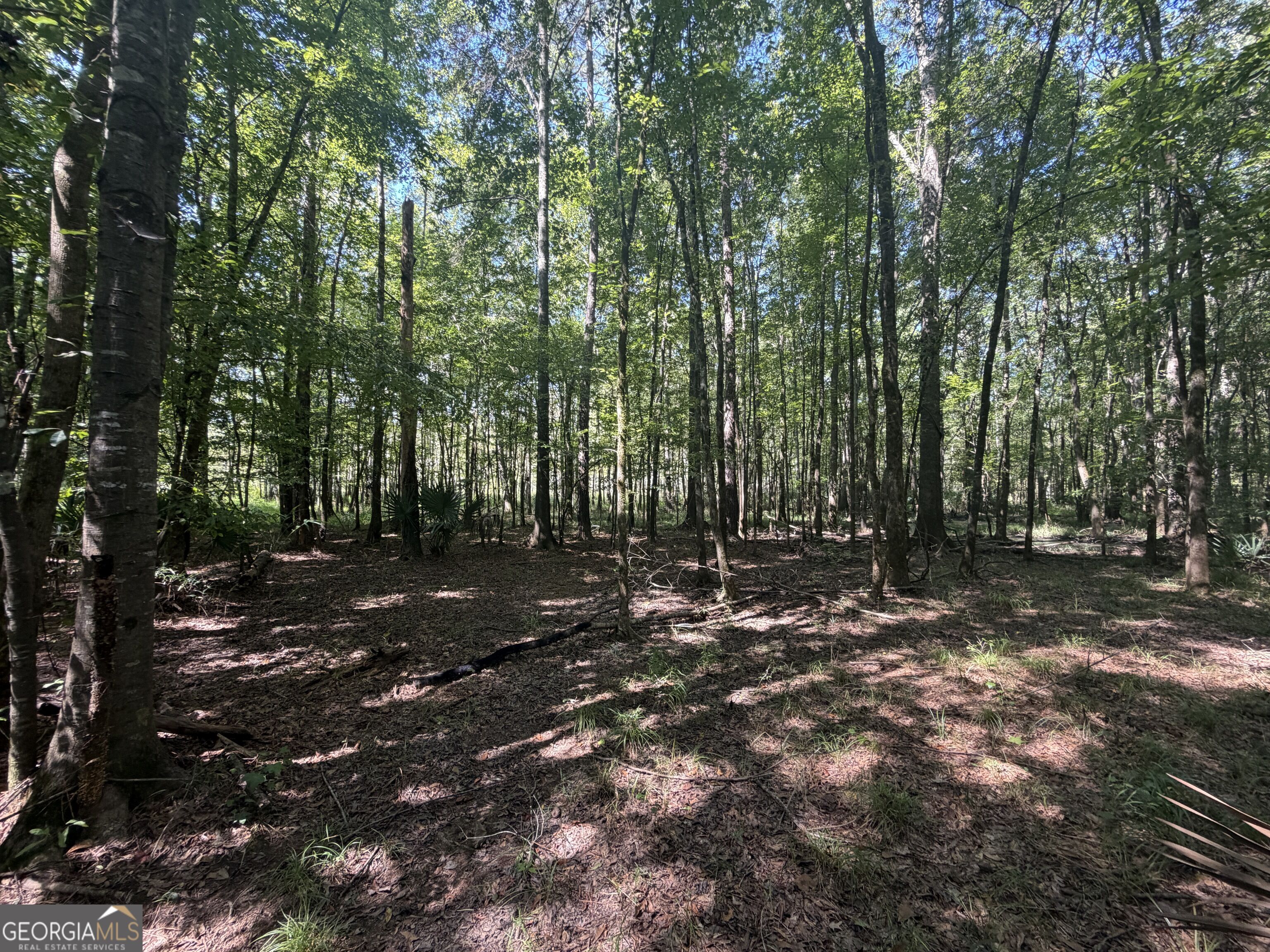 0 Highway 102 Property Photo 66