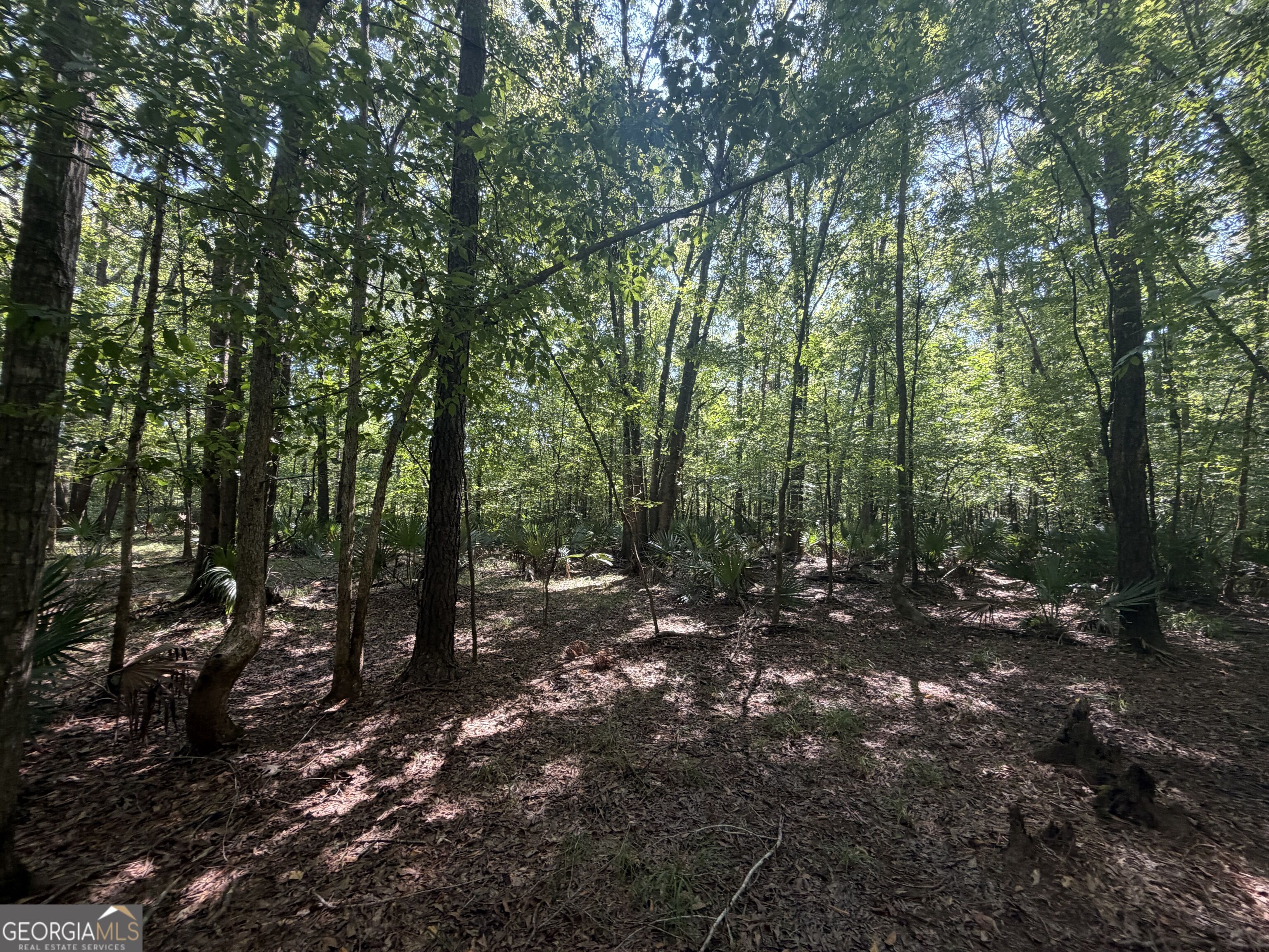 0 Highway 102 Property Photo 67