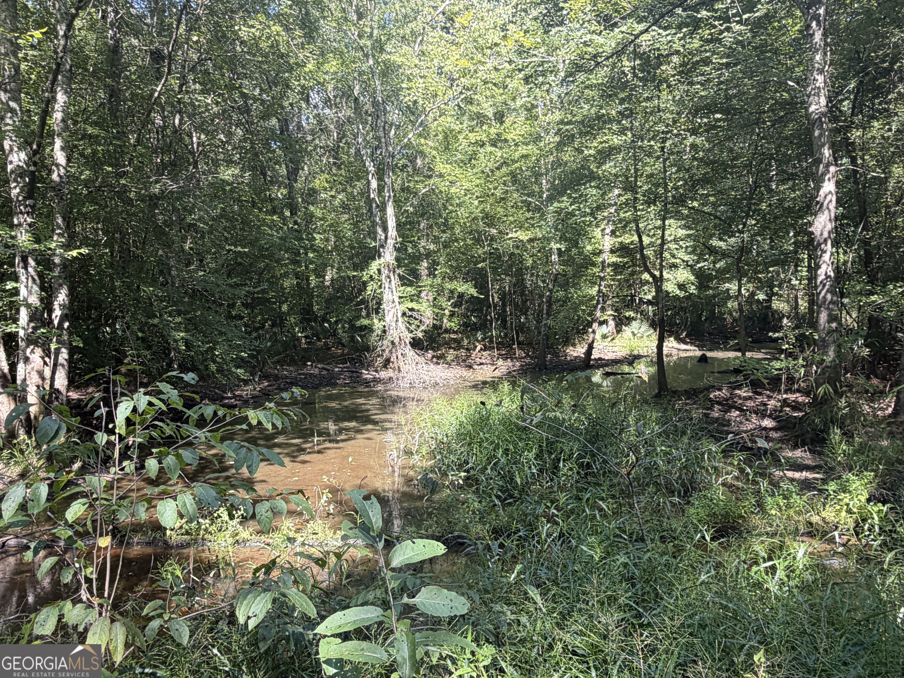 0 Highway 102 Property Photo 68