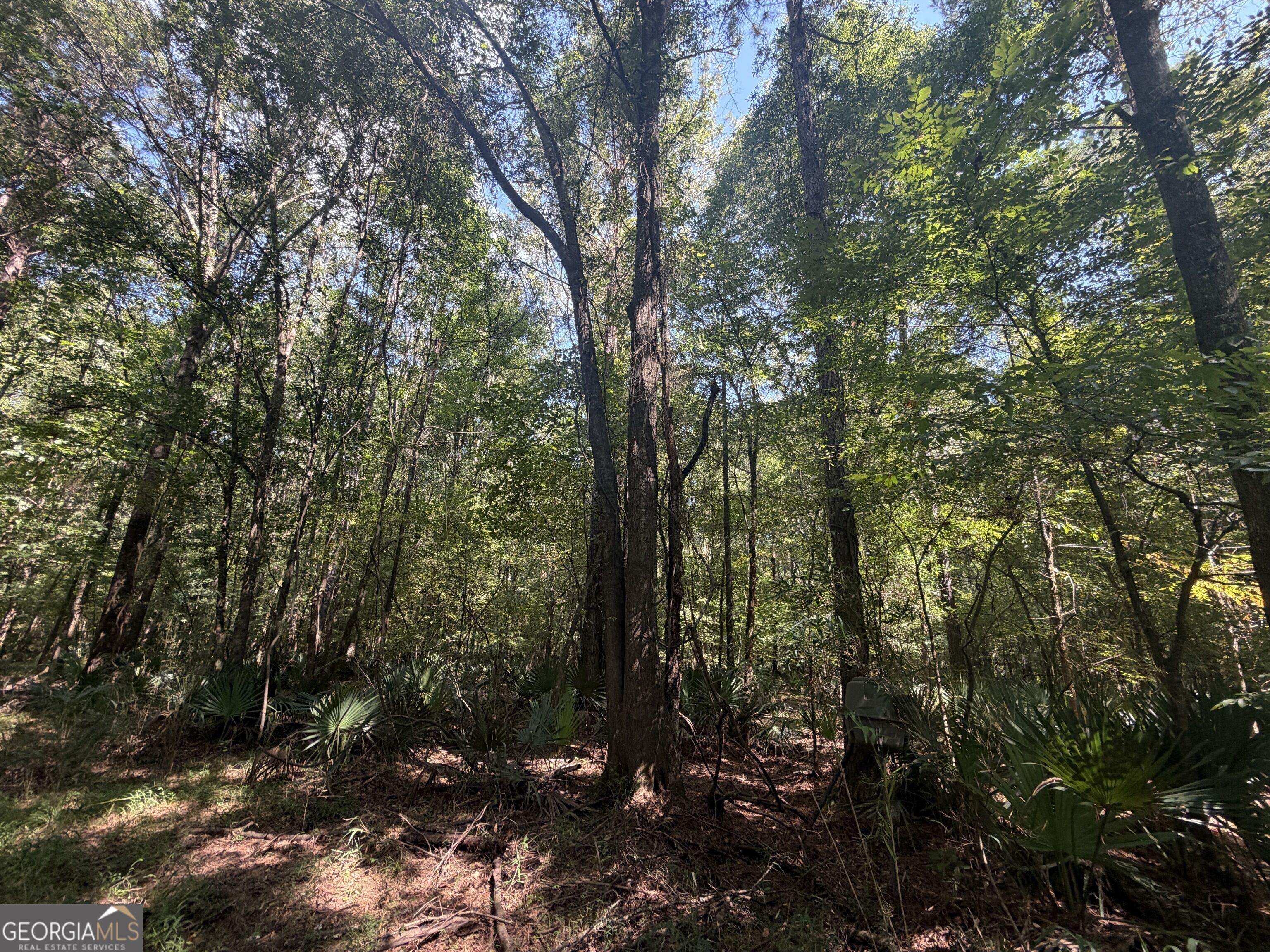 0 Highway 102 Property Photo 71