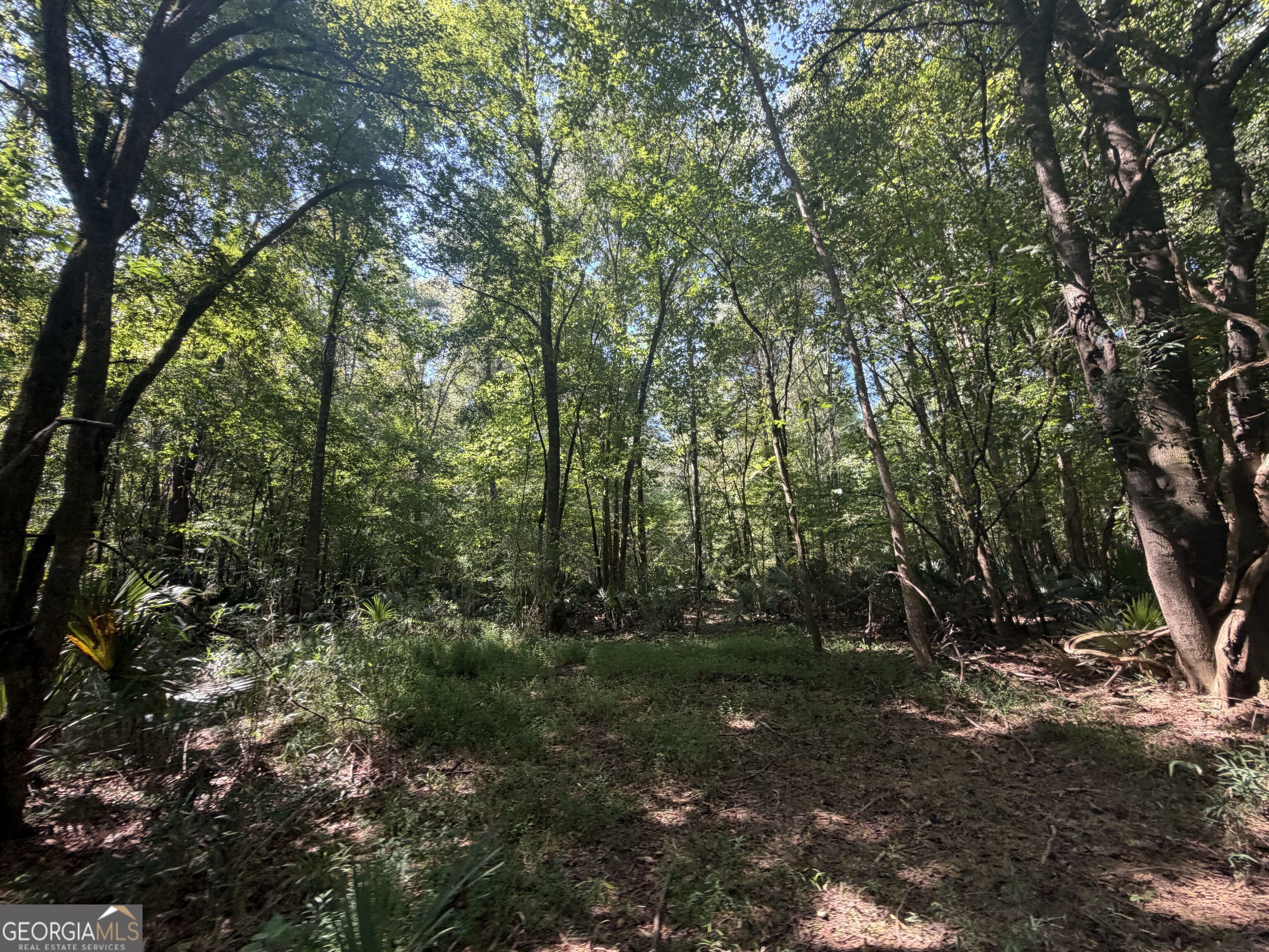 0 Highway 102 Property Photo 72