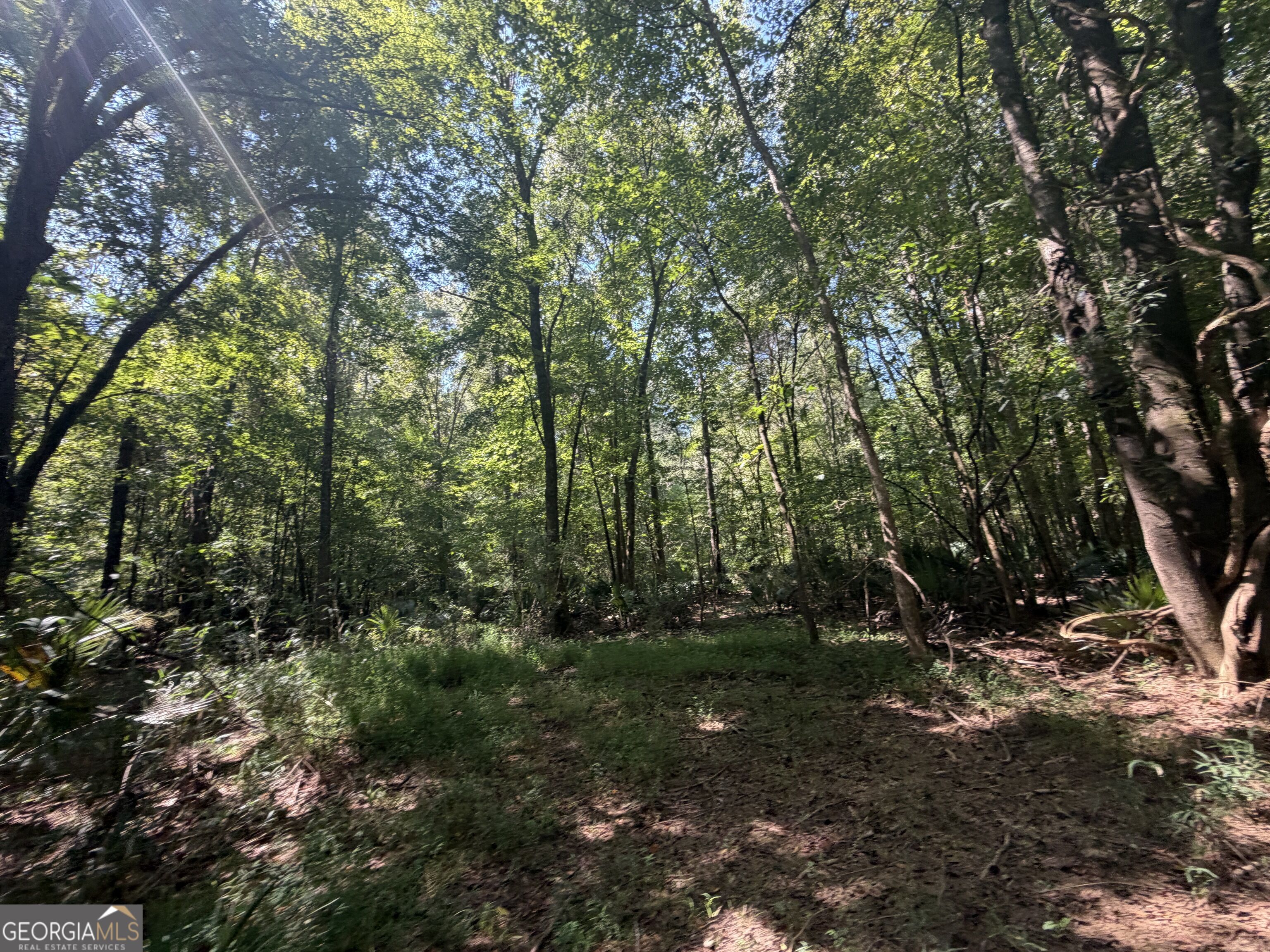 0 Highway 102 Property Photo 73