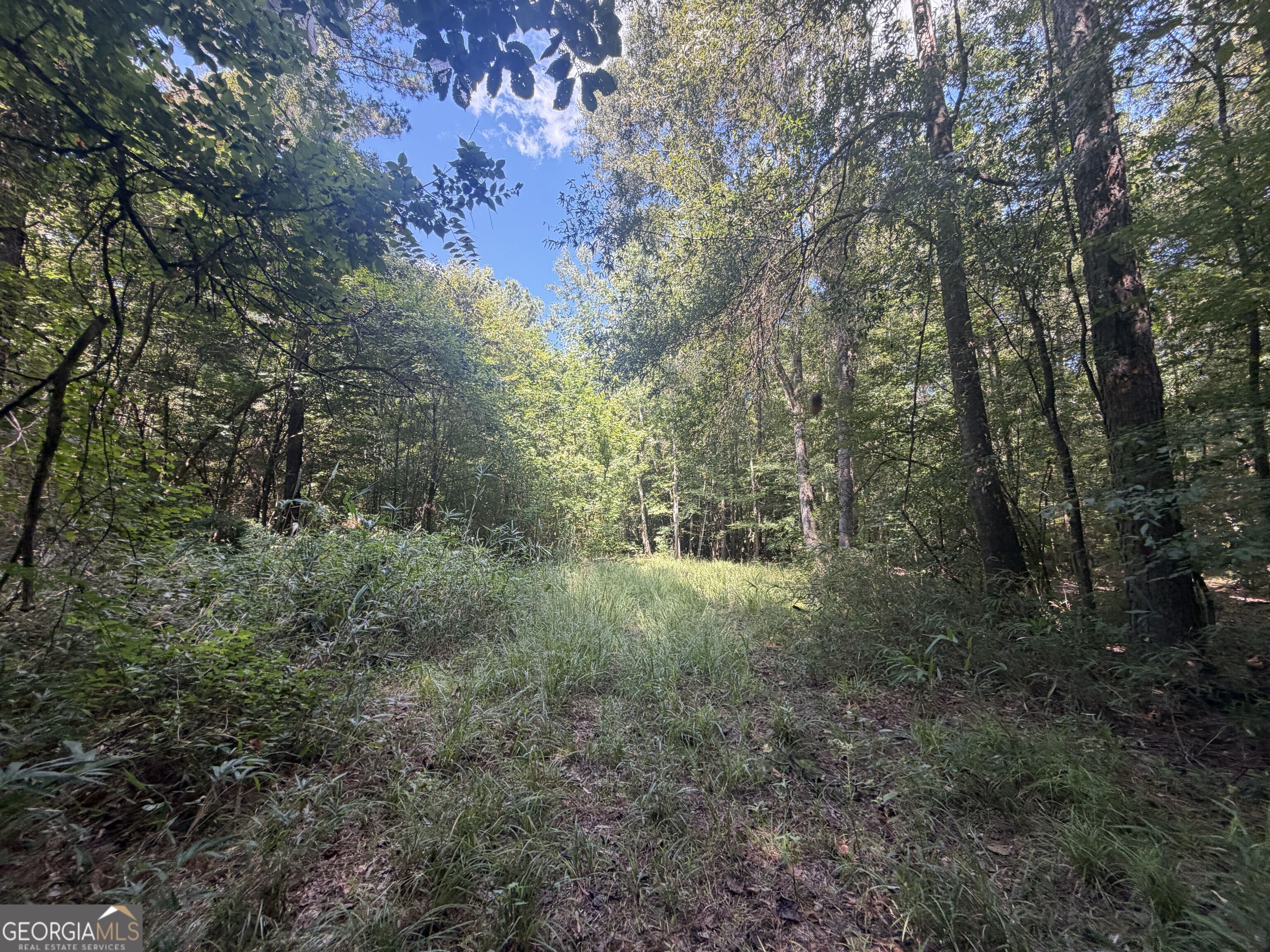0 Highway 102 Property Photo 74