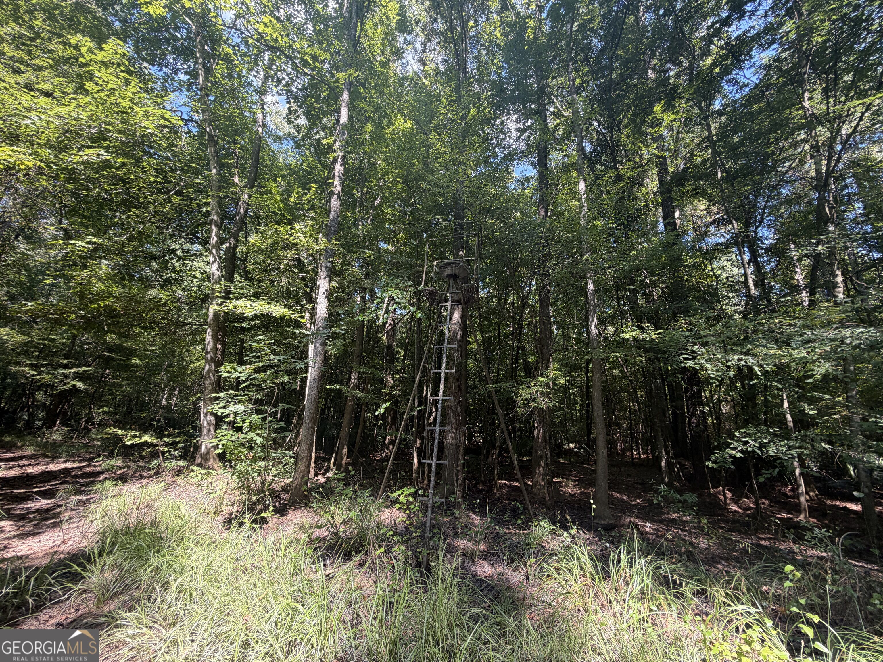 0 Highway 102 Property Photo 75