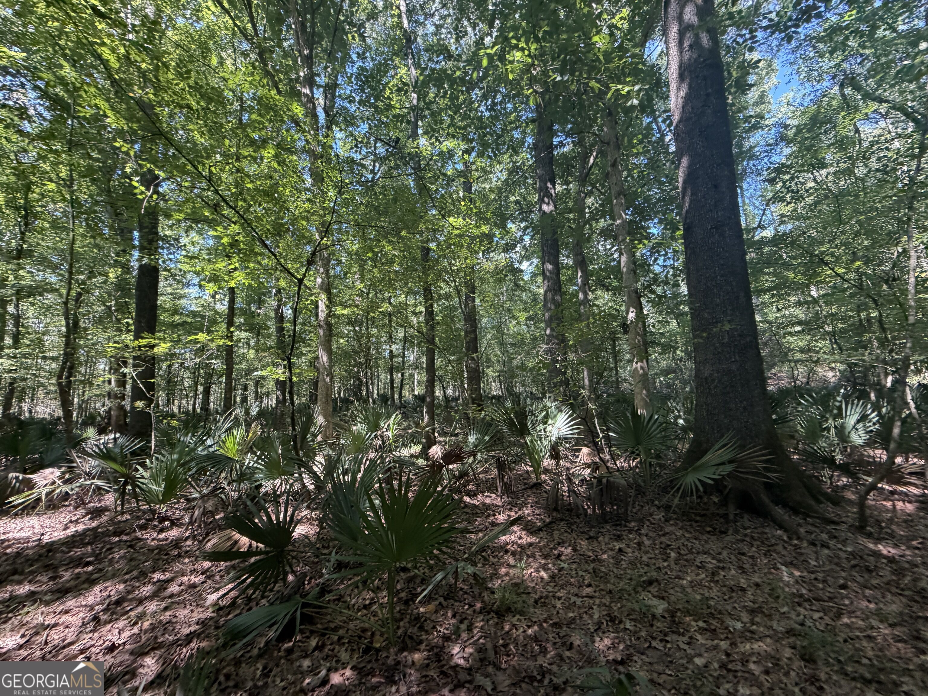 0 Highway 102 Property Photo 77