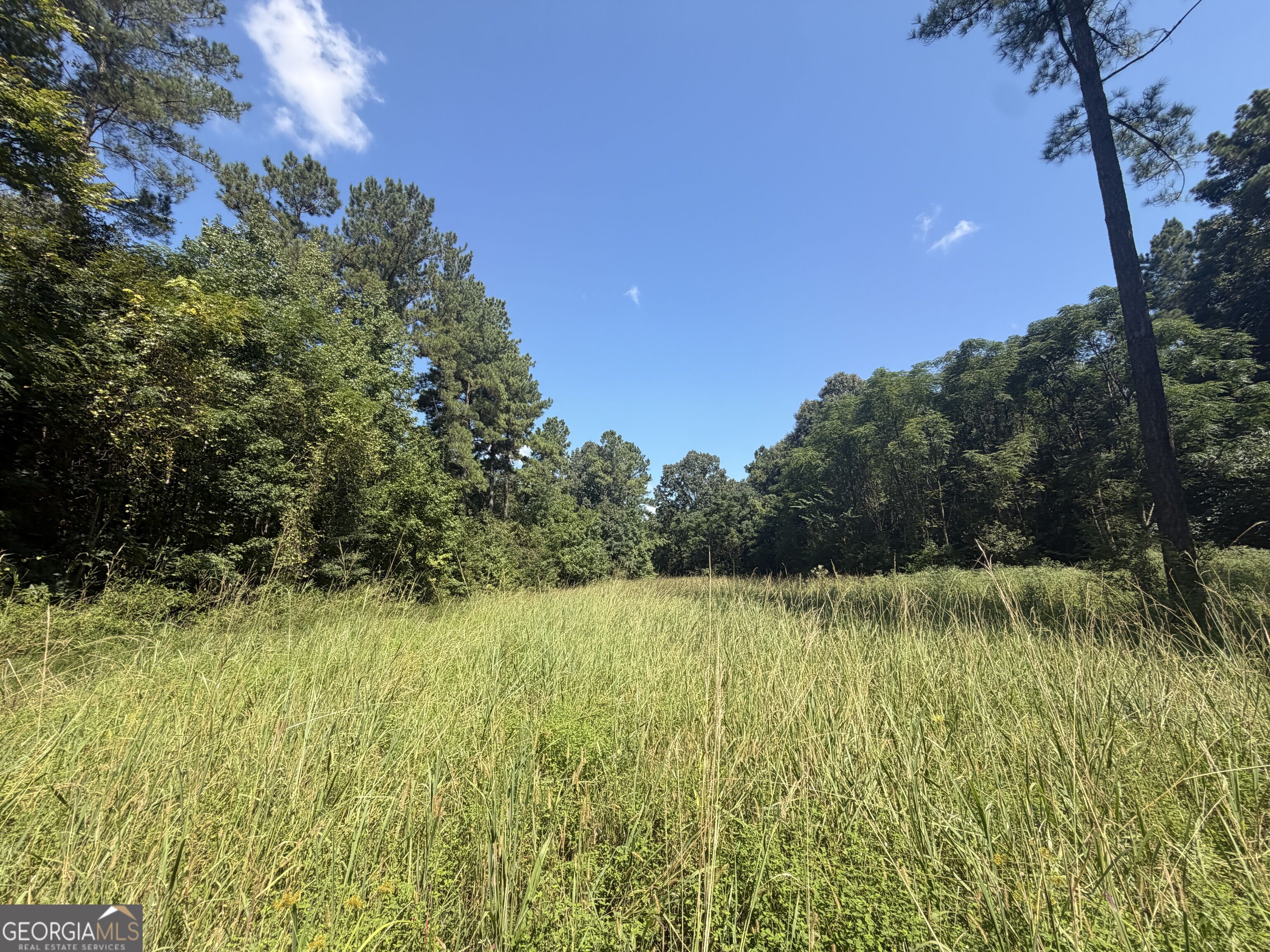 0 Highway 102 Property Photo 79
