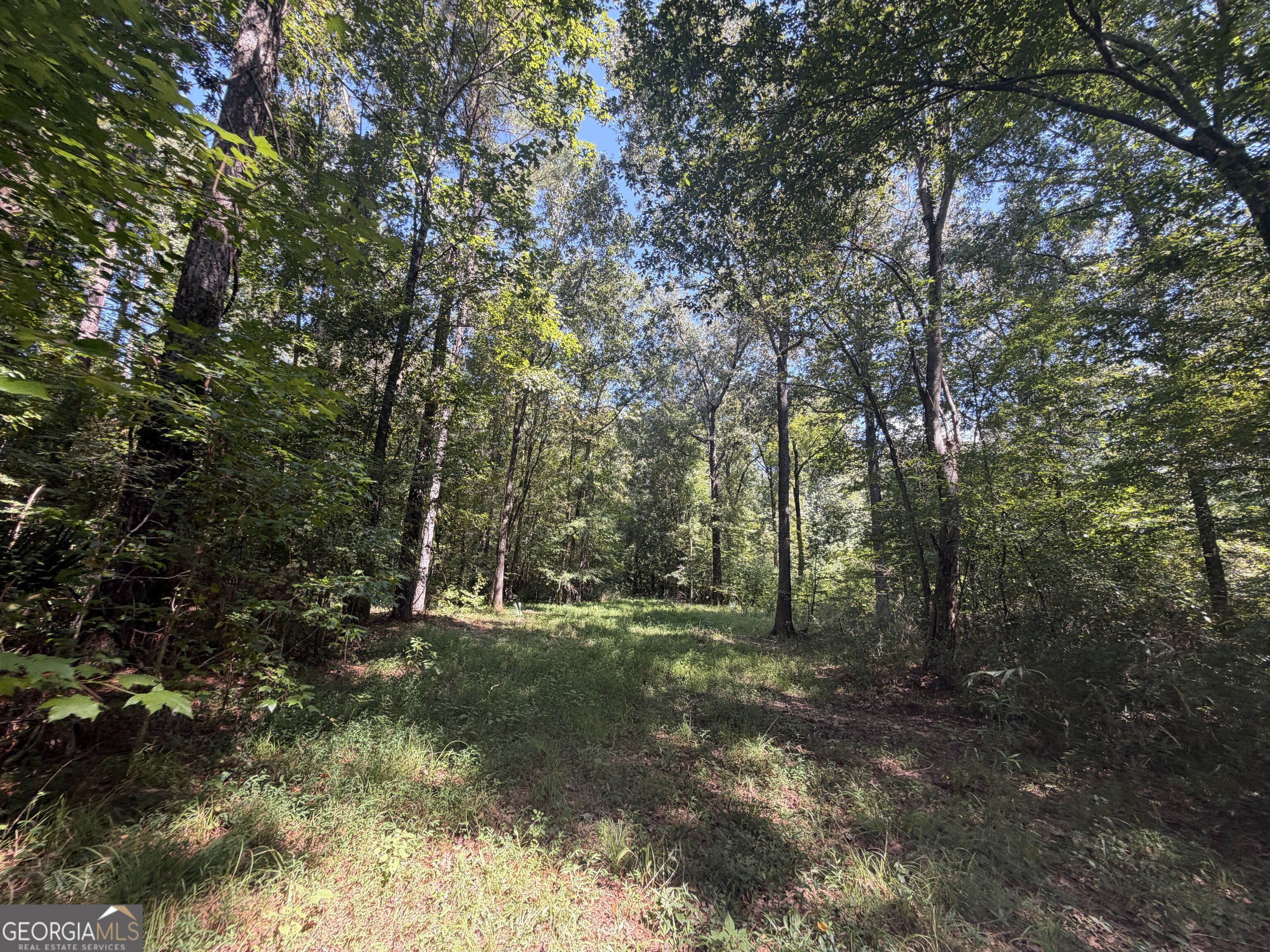 0 Highway 102 Property Photo 82