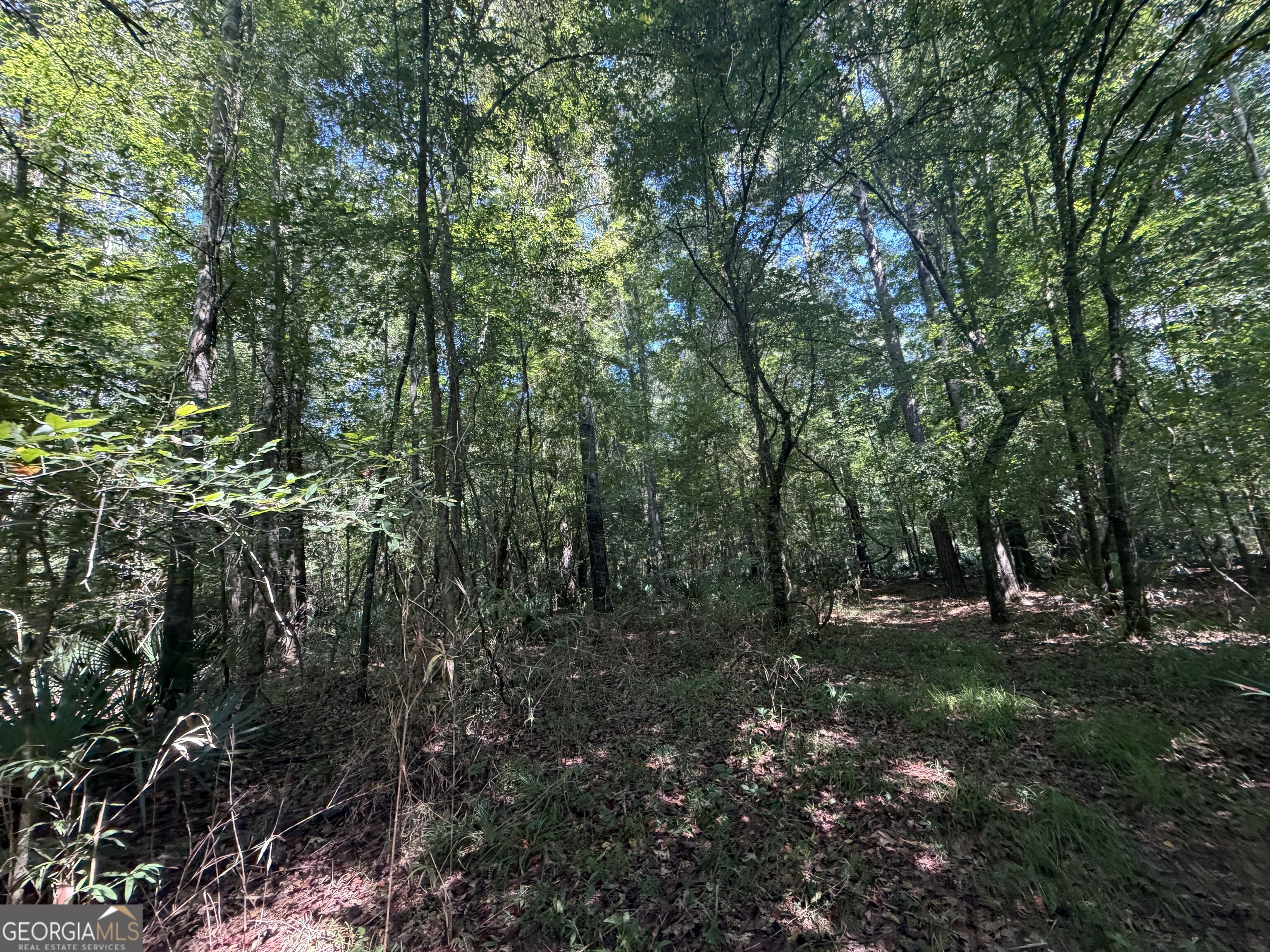 0 Highway 102 Property Photo 83