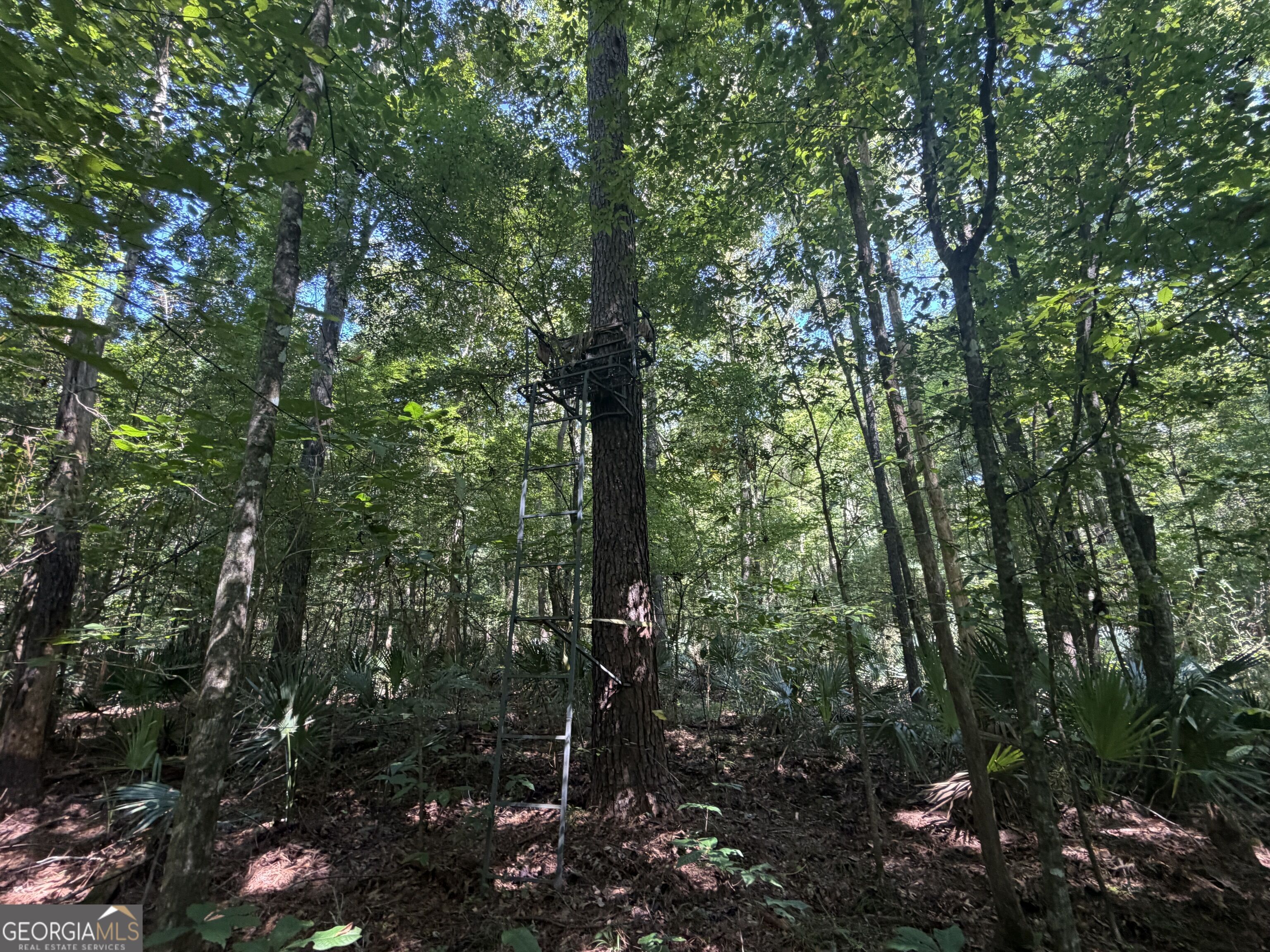 0 Highway 102 Property Photo 84