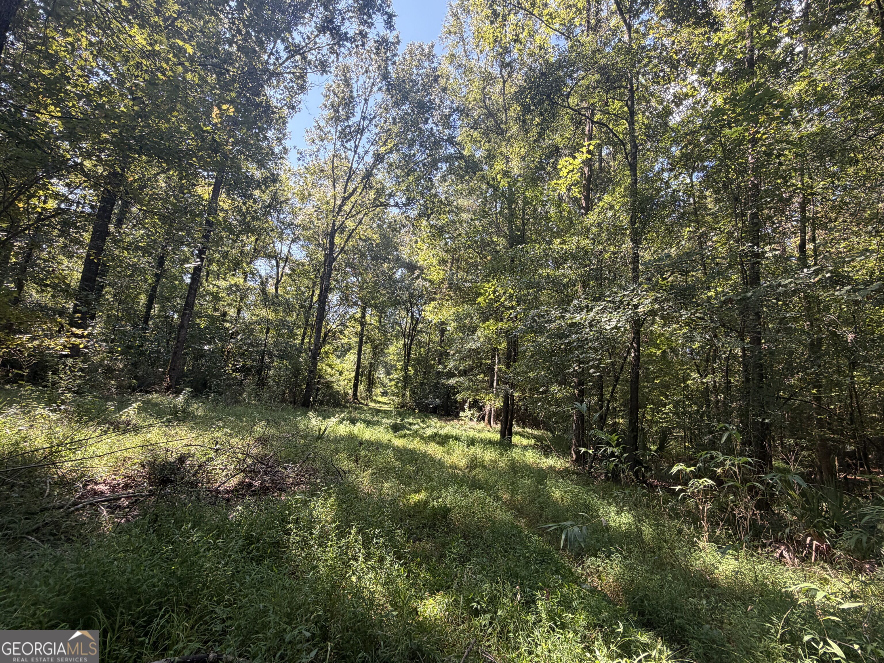 0 Highway 102 Property Photo 85