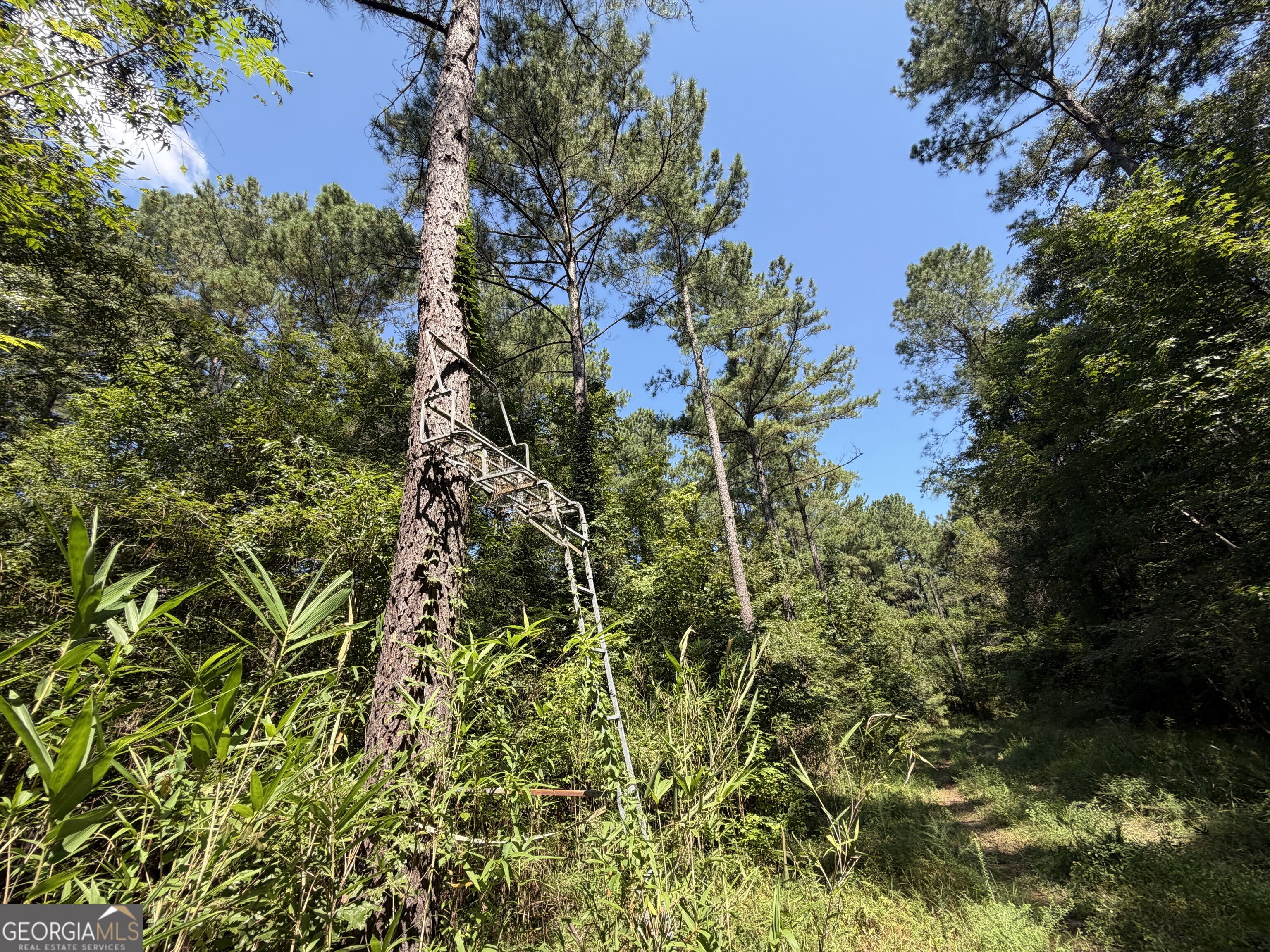 0 Highway 102 Property Photo 89