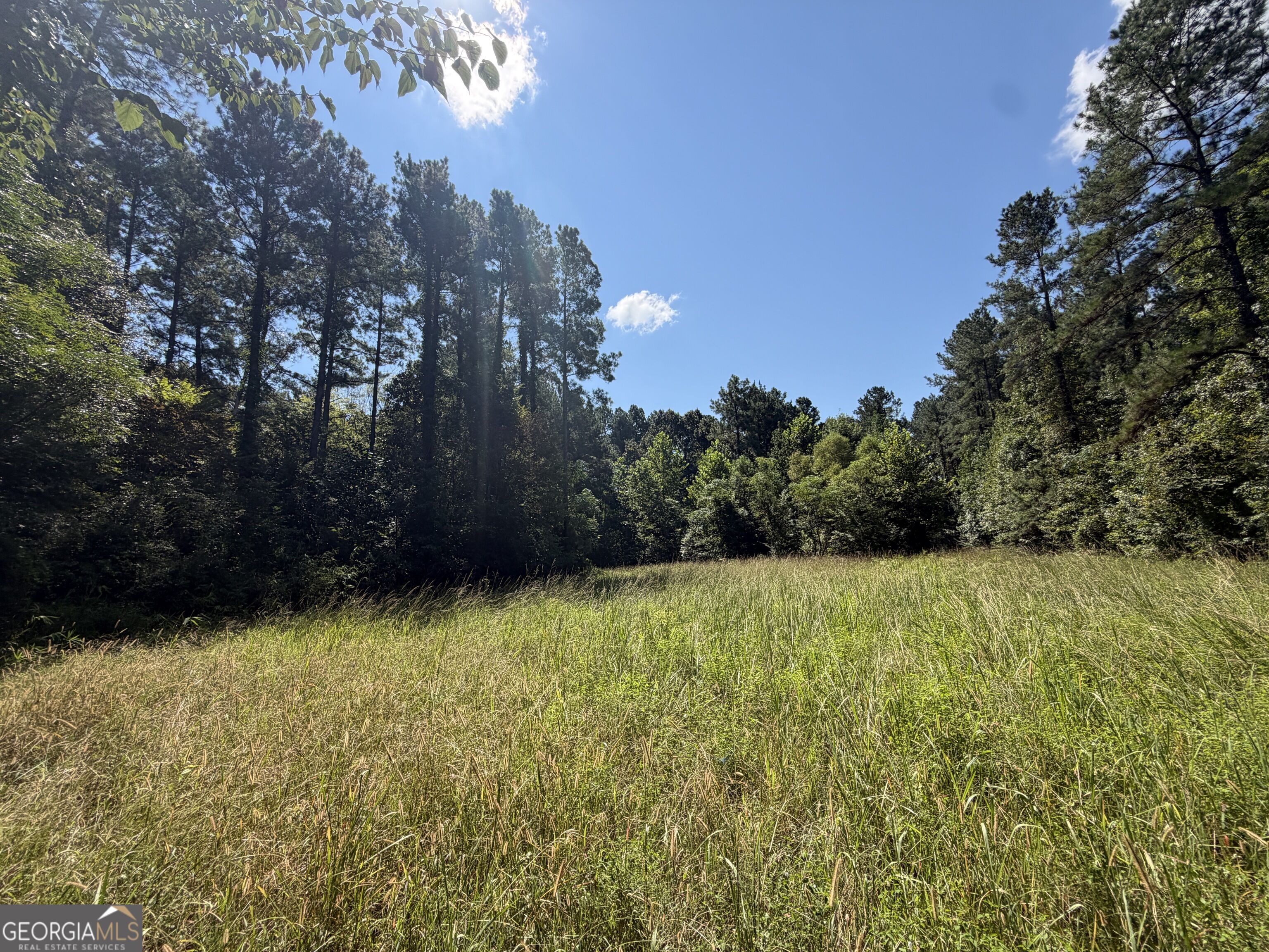 0 Highway 102 Property Photo 90