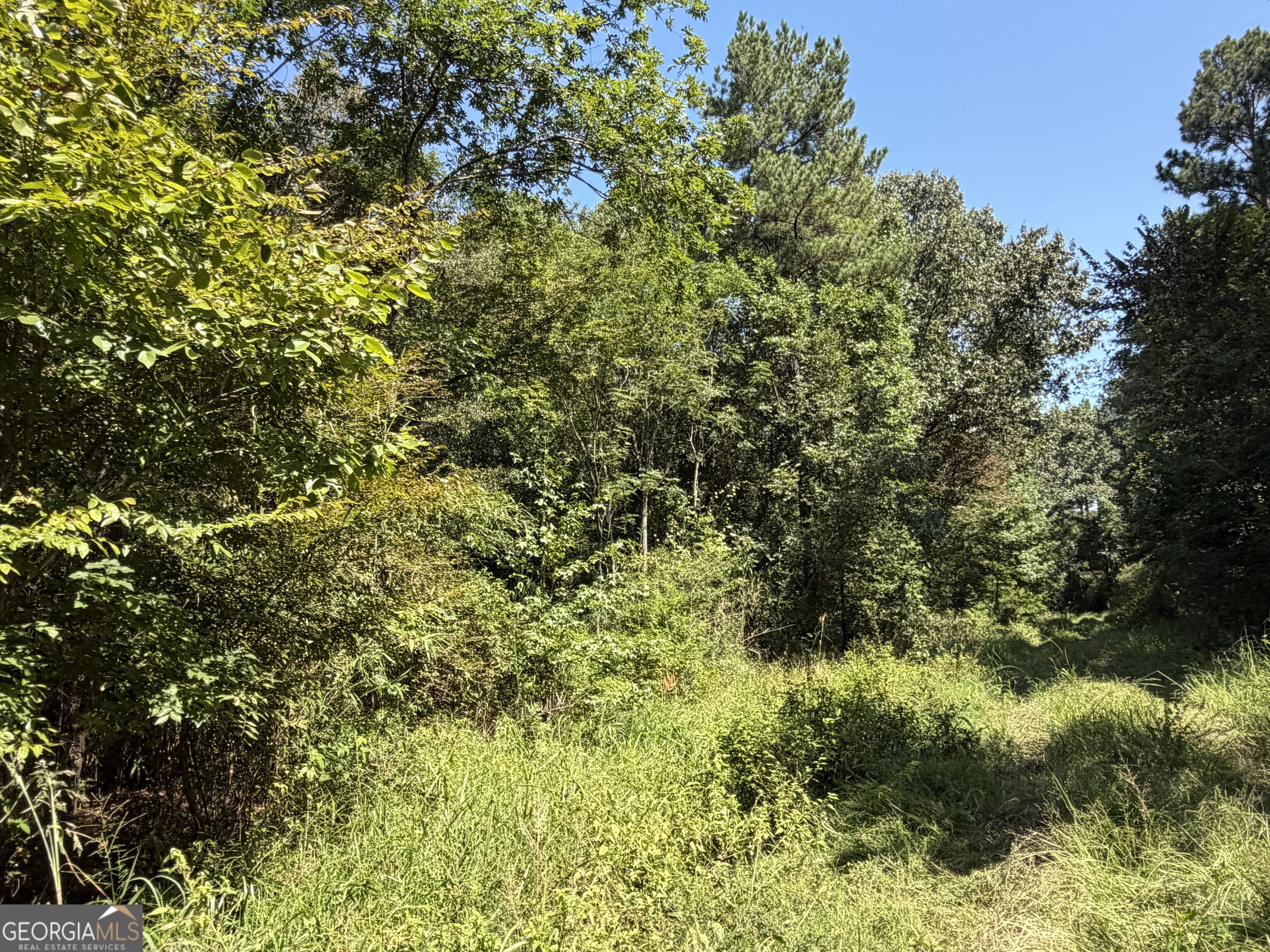 0 Highway 102 Property Photo 92