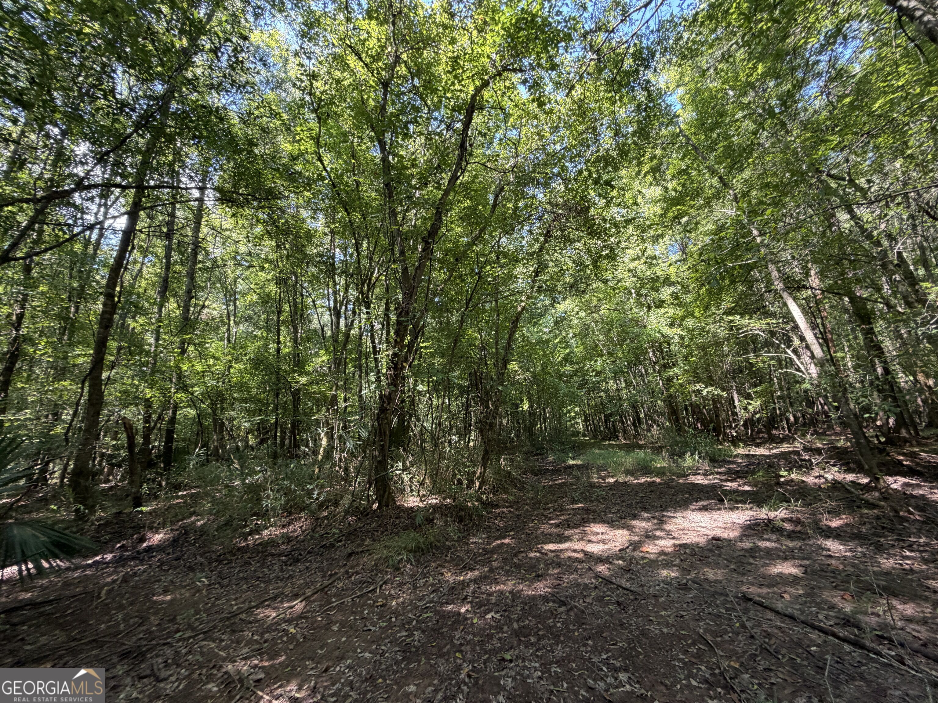 0 Highway 102 Property Photo 95