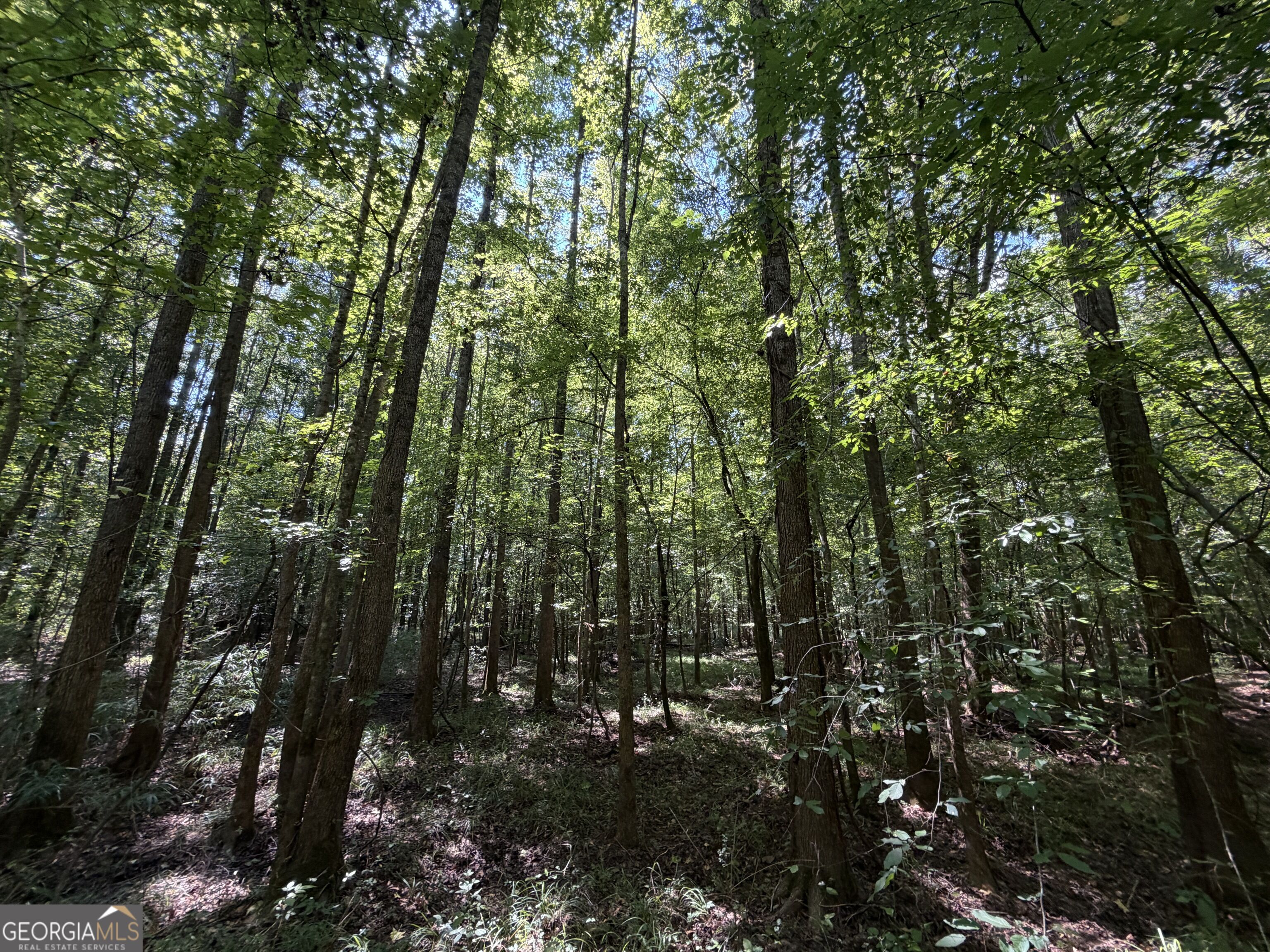 0 Highway 102 Property Photo 96