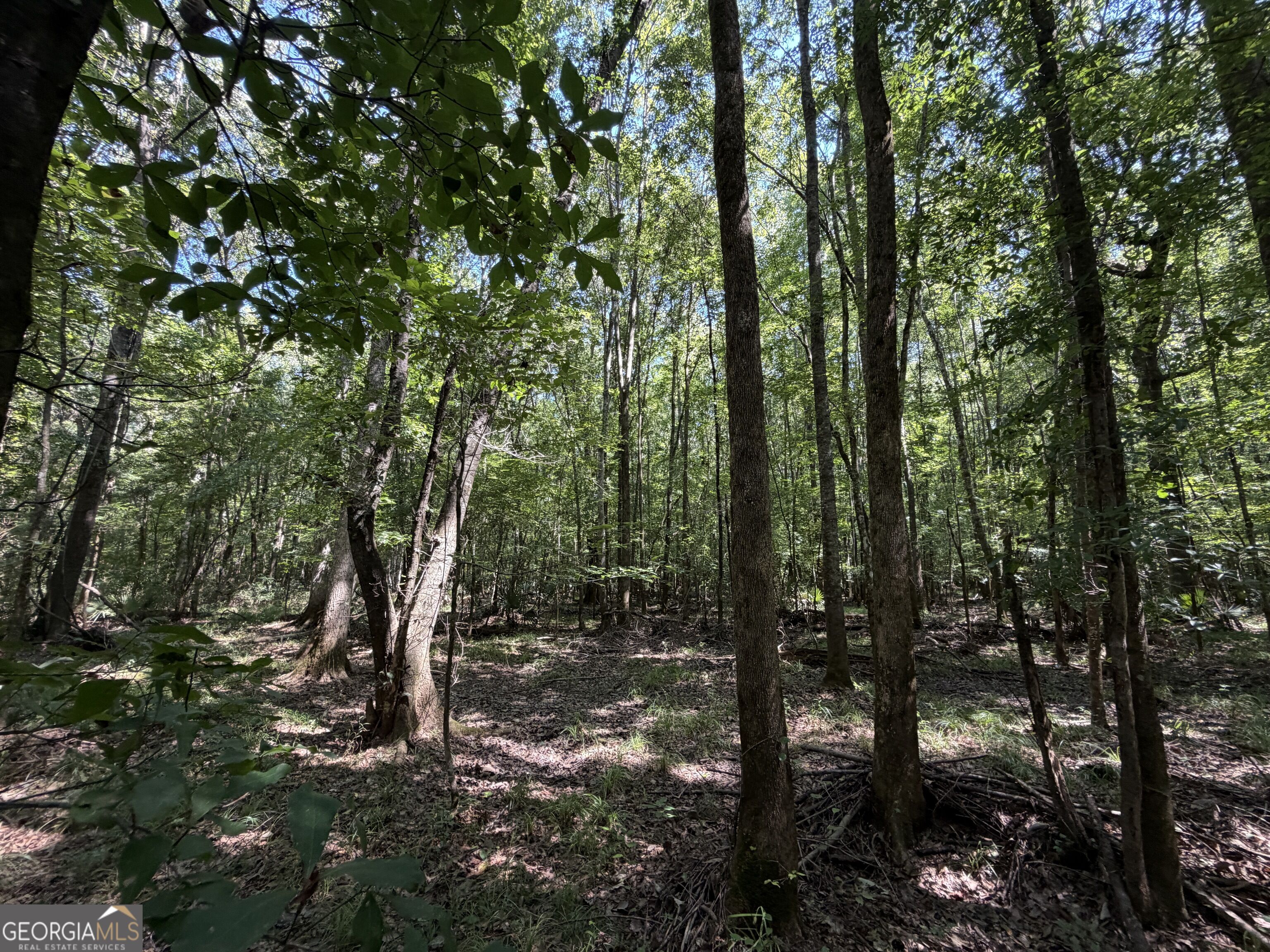 0 Highway 102 Property Photo 98