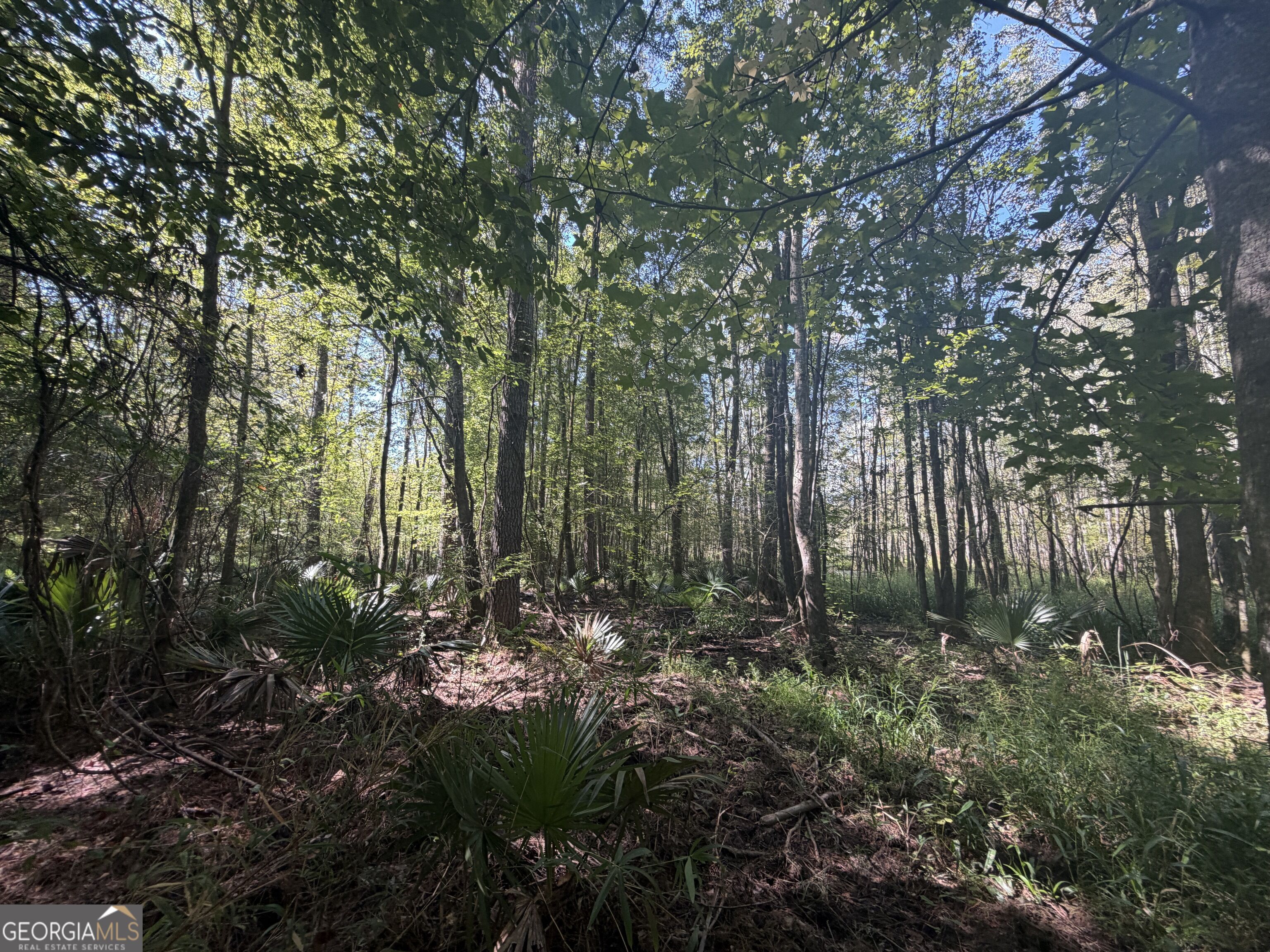 0 Highway 102 Property Photo 102
