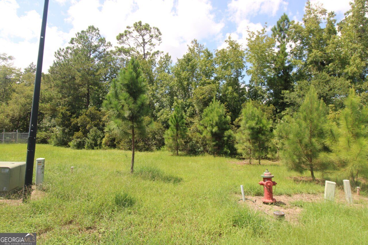 203 Drayton Circle Property Photo 3