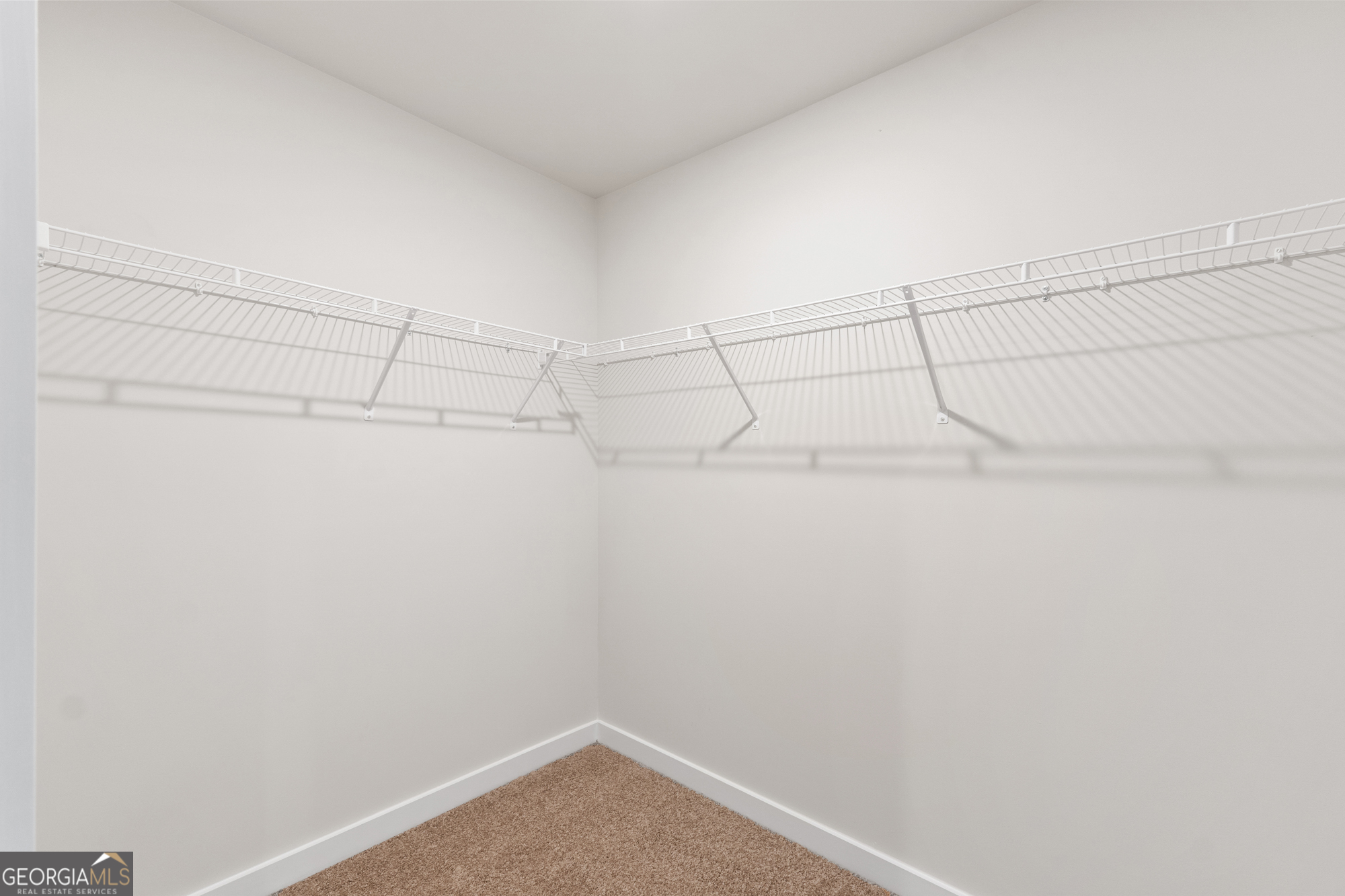 719 Coneflower Way Property Photo 25
