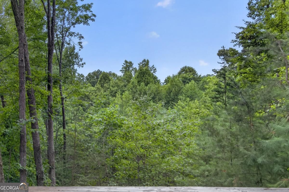 76 Channing Hollow Property Photo 30