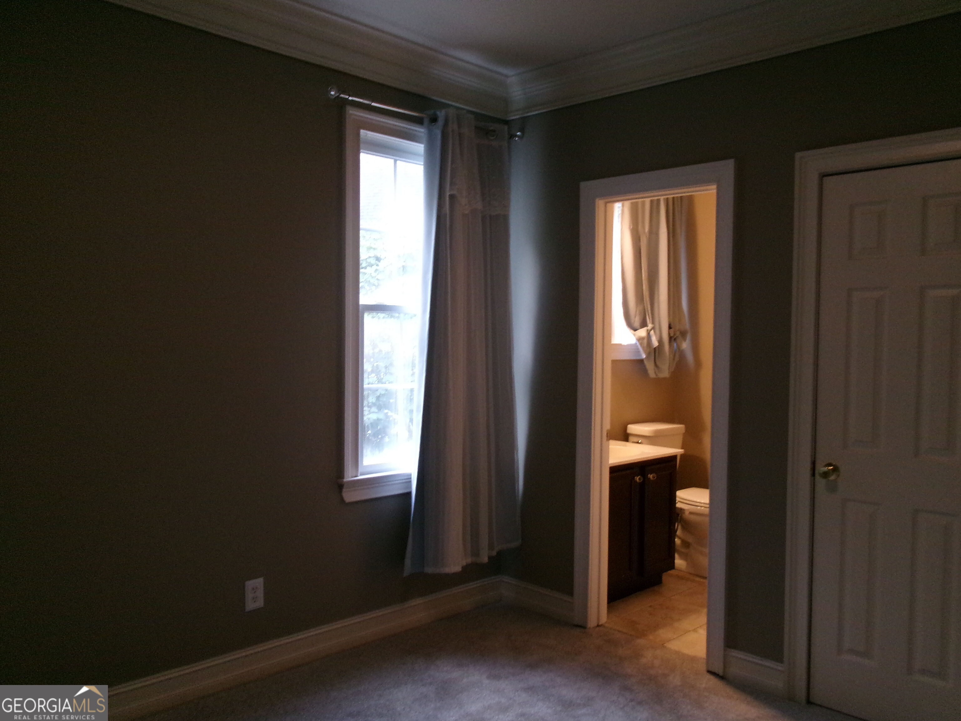 910 Woodward Park Drive Property Photo 47
