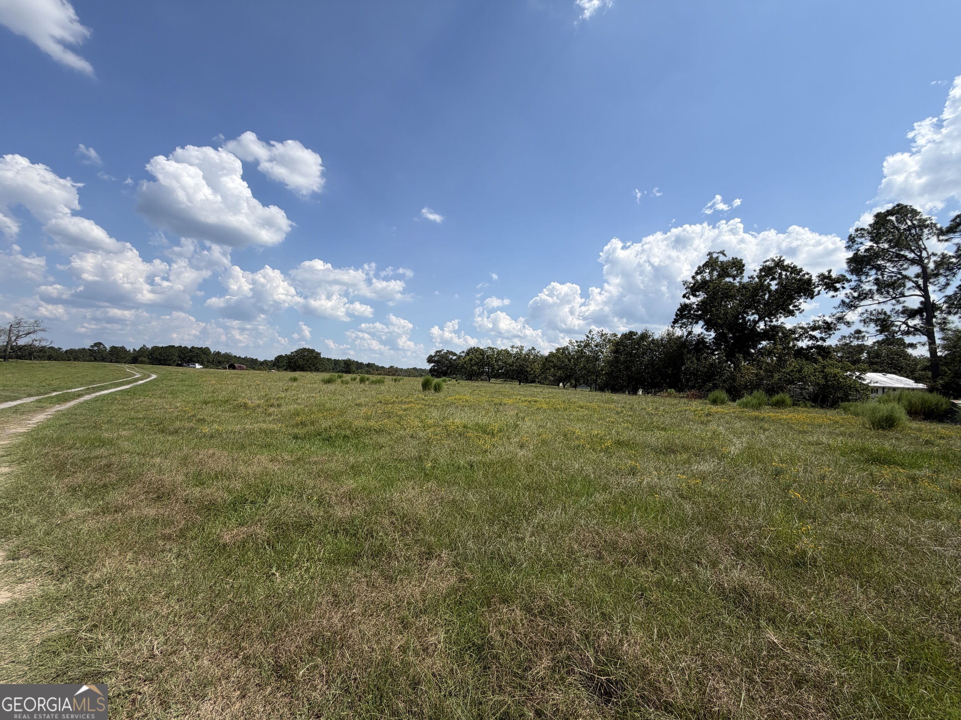 23.03 Acres Carters Bridge Road Property Photo 6