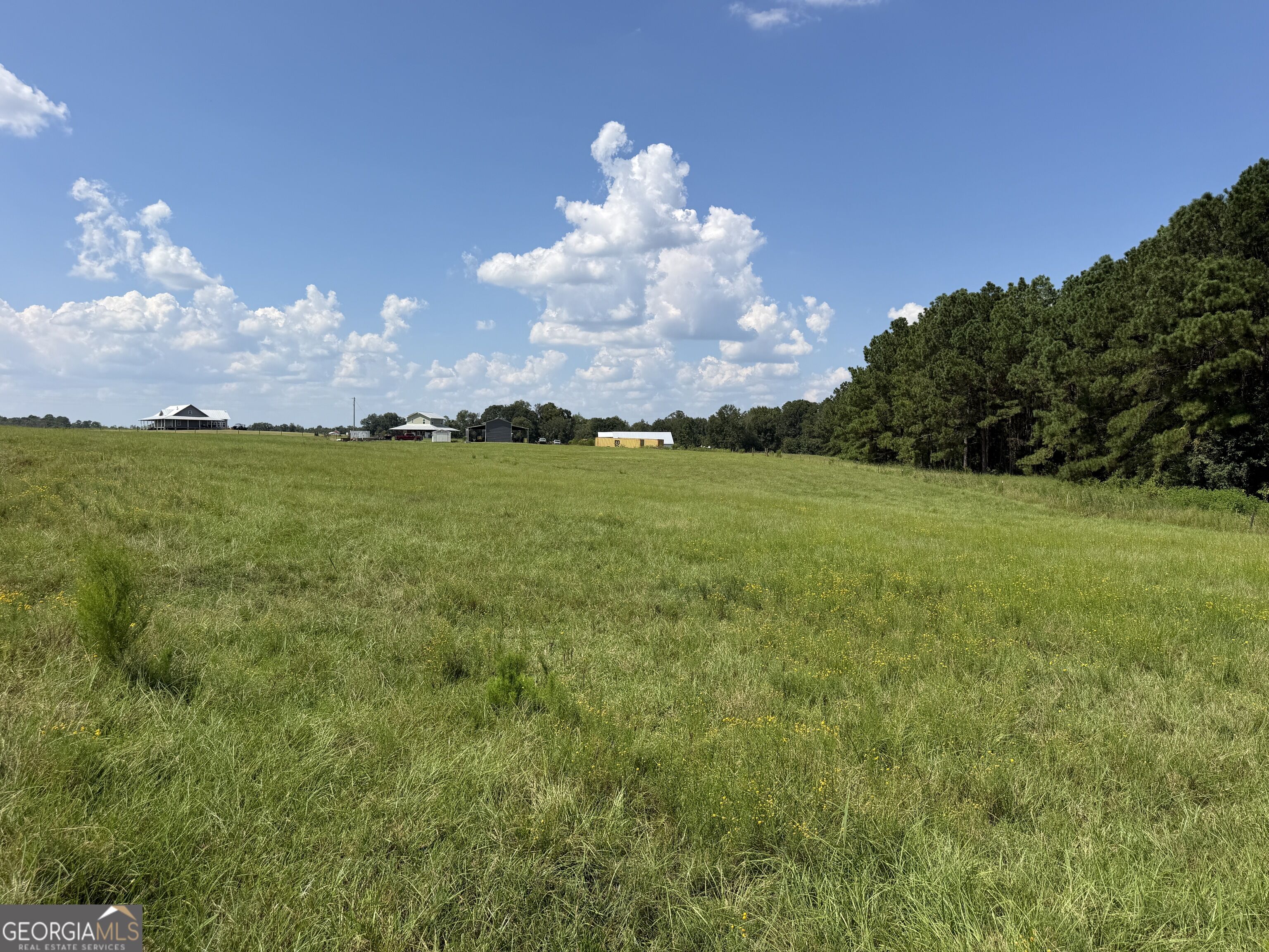 23.03 Acres Carters Bridge Road Property Photo 9