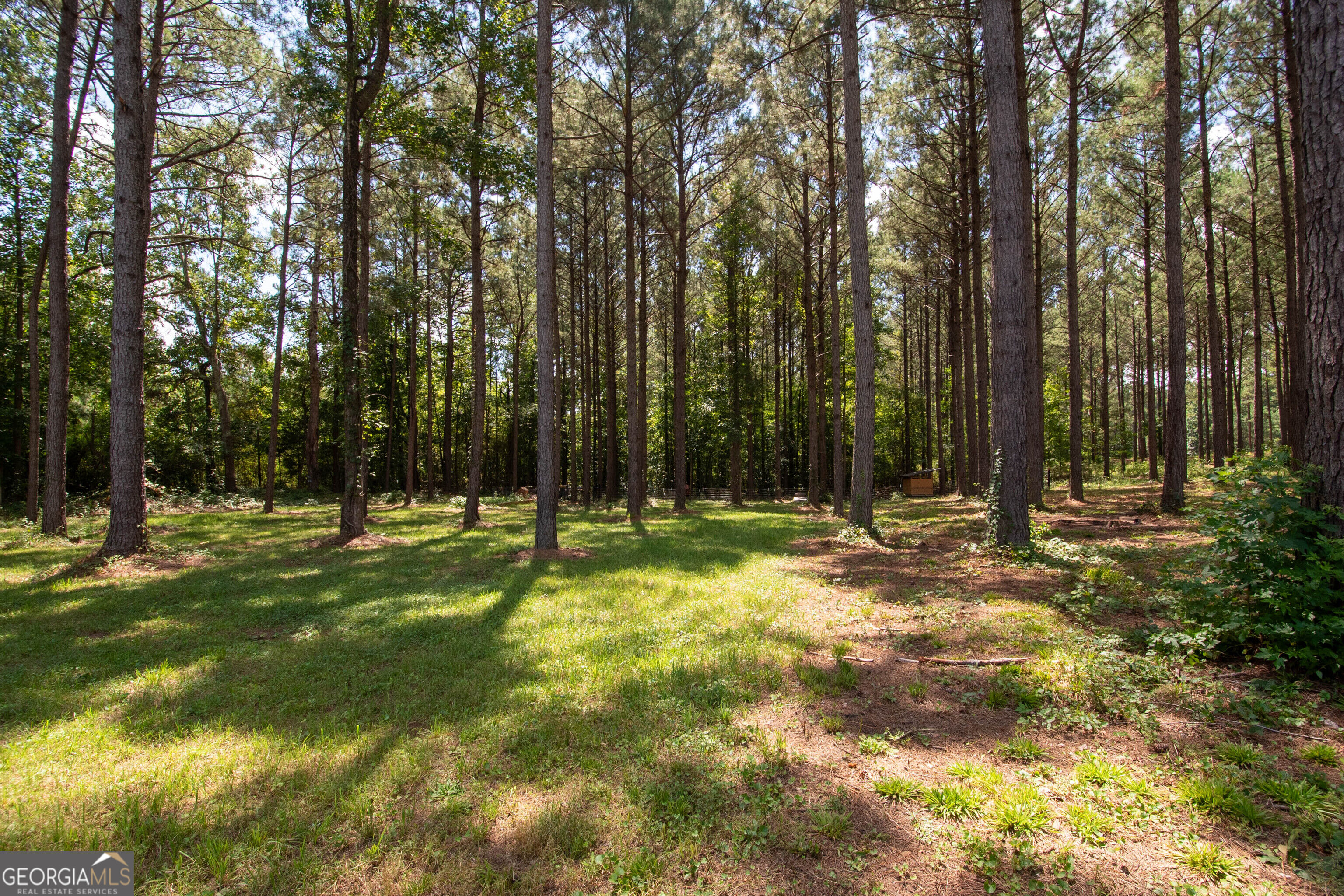 4079 Primrose Road Property Photo 40