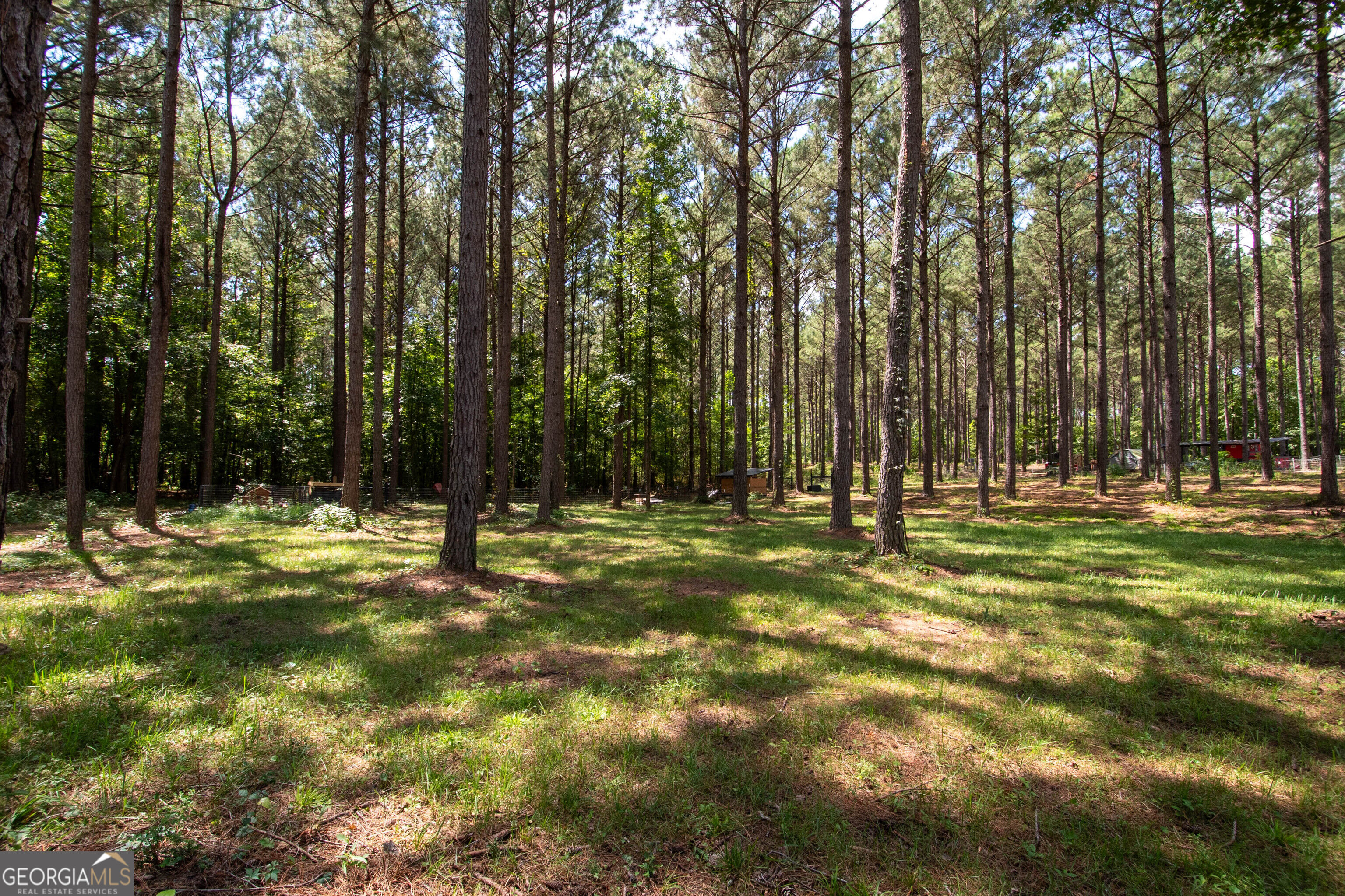 4079 Primrose Road Property Photo 42