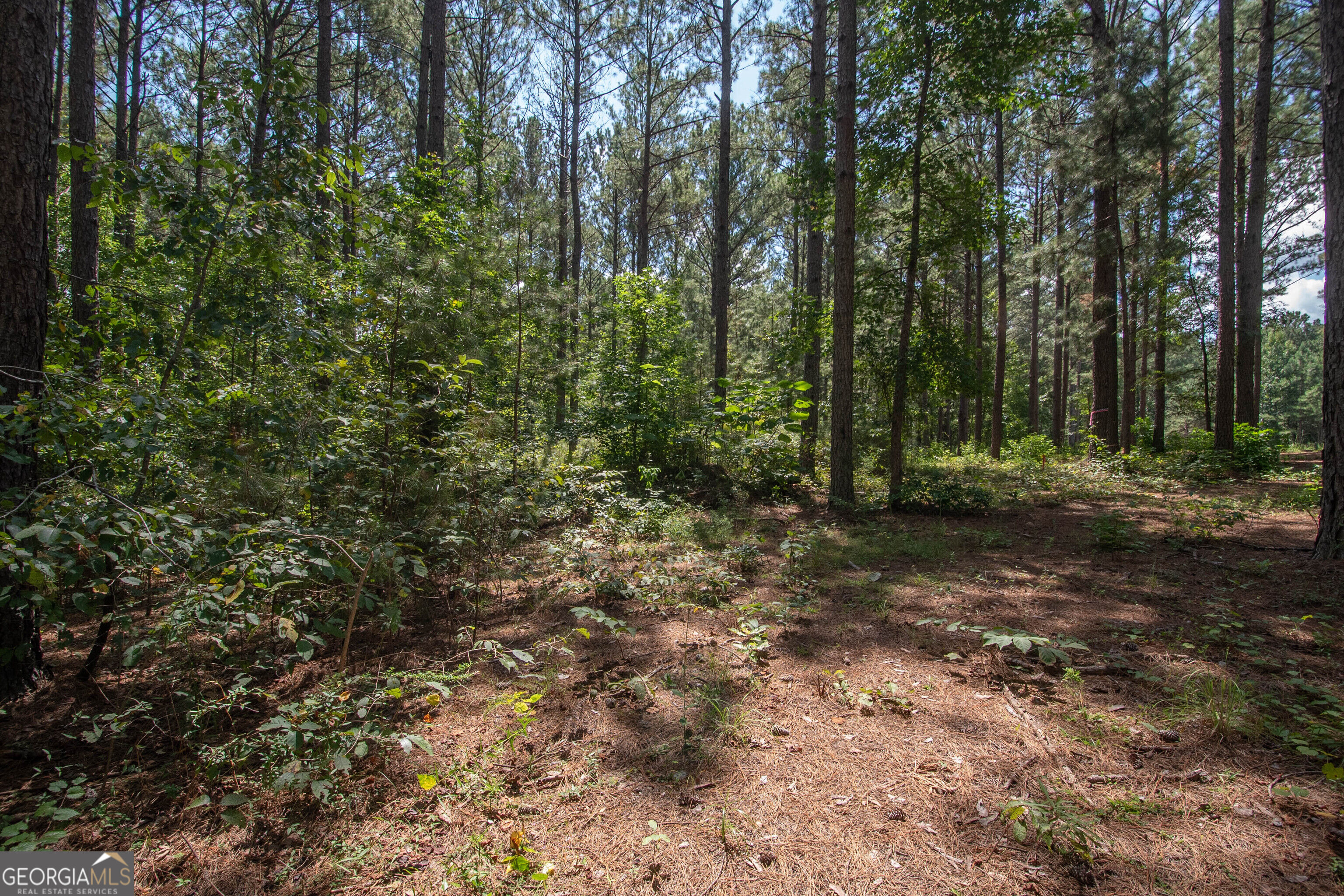 4079 Primrose Road Property Photo 46