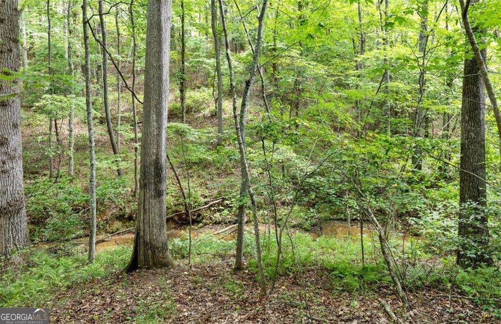120 Brookhaven Trail Property Photo 89
