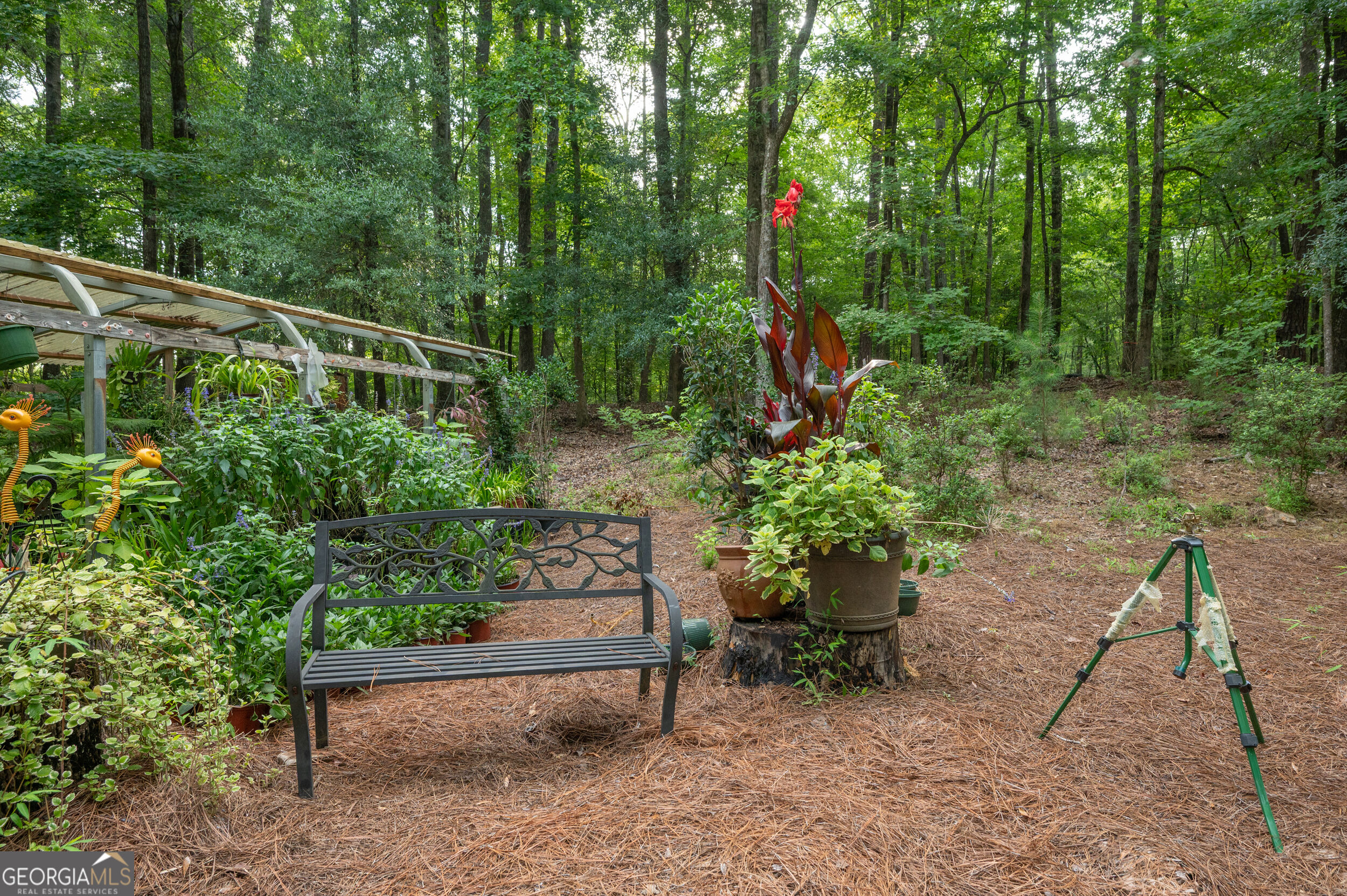 285 Dollar Road Property Photo 6