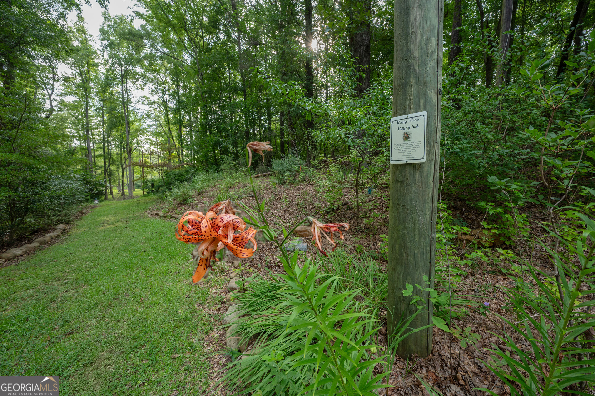 285 Dollar Road Property Photo 8