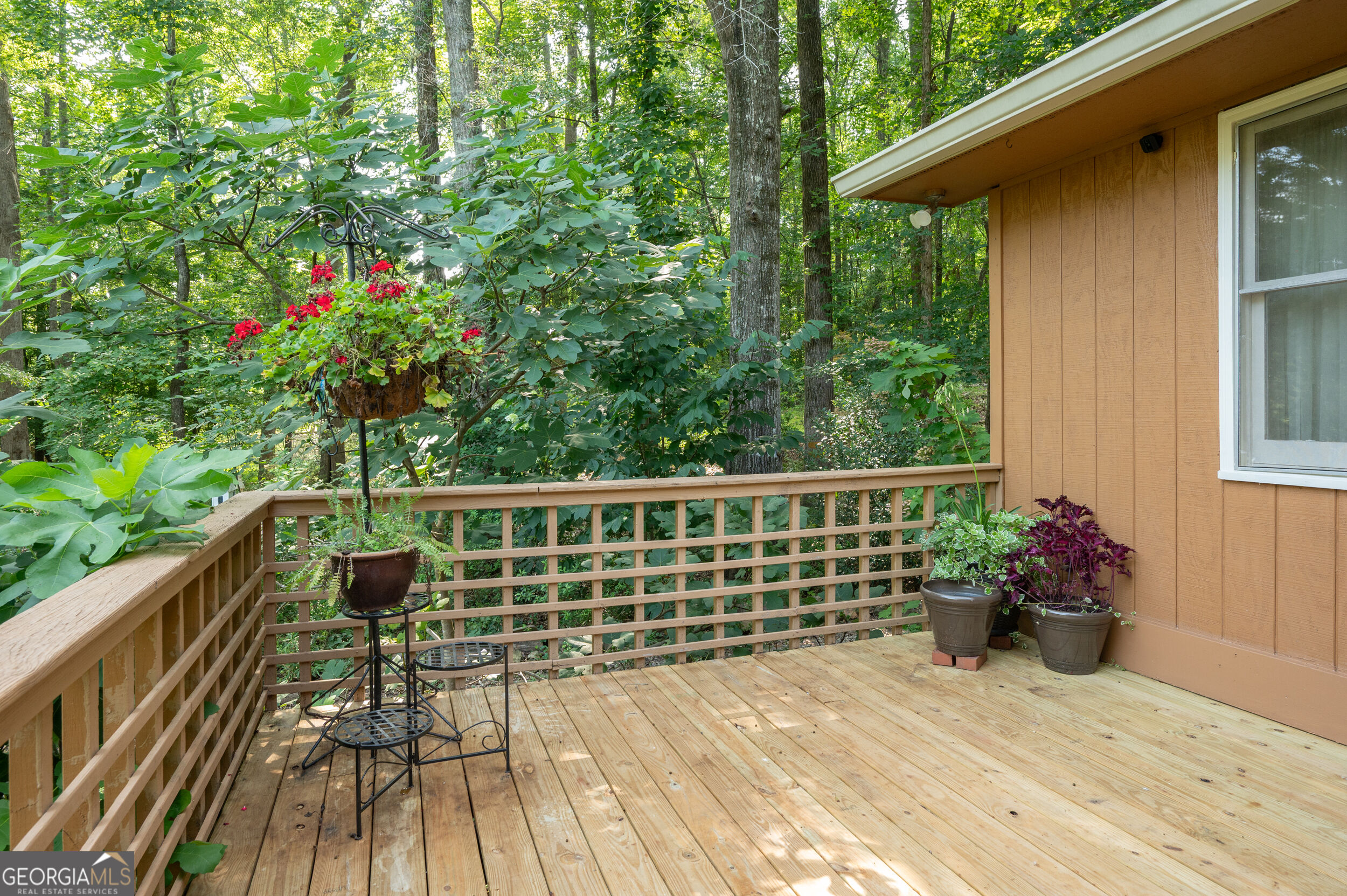 285 Dollar Road Property Photo 28
