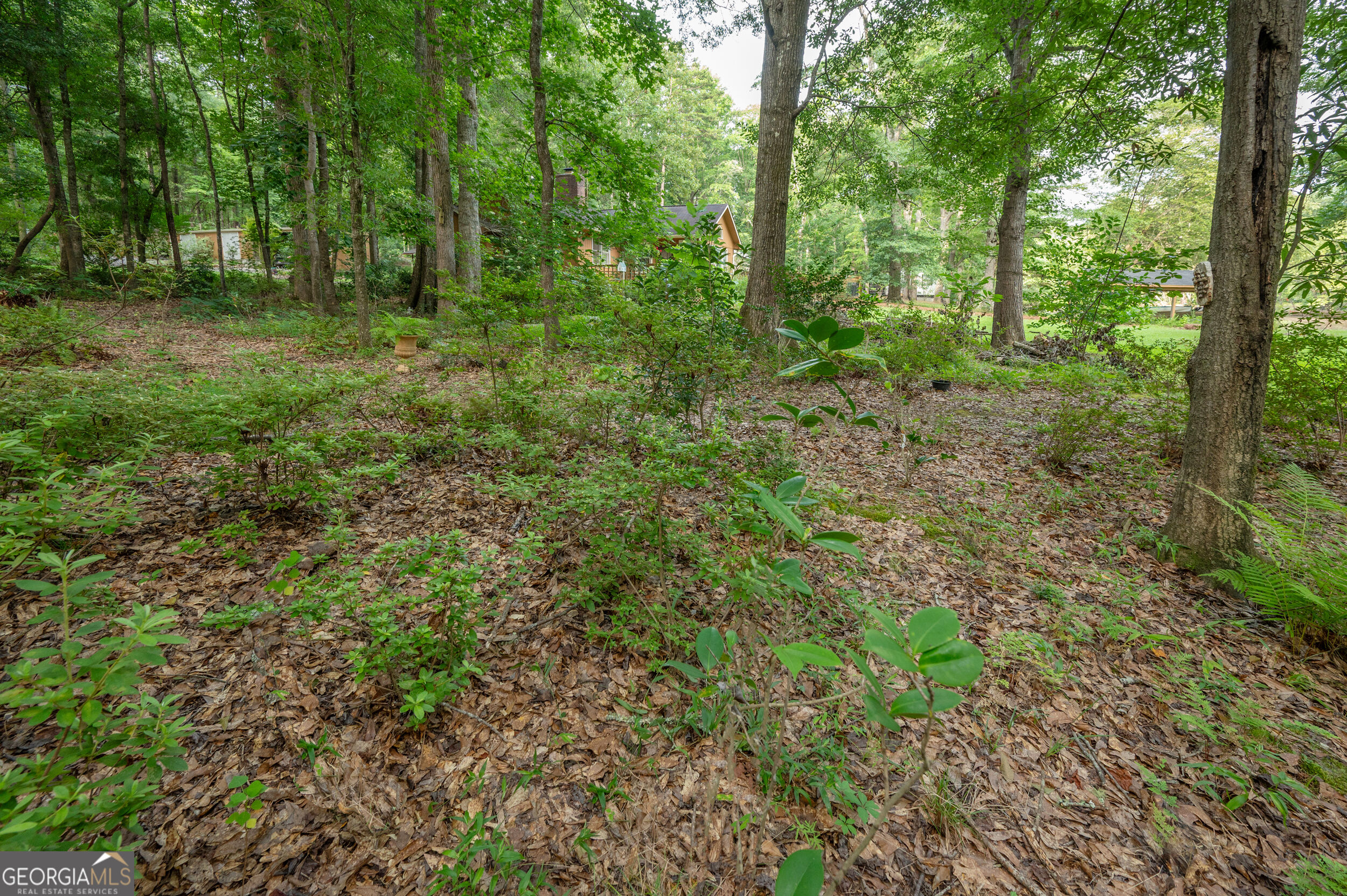 285 Dollar Road Property Photo 49