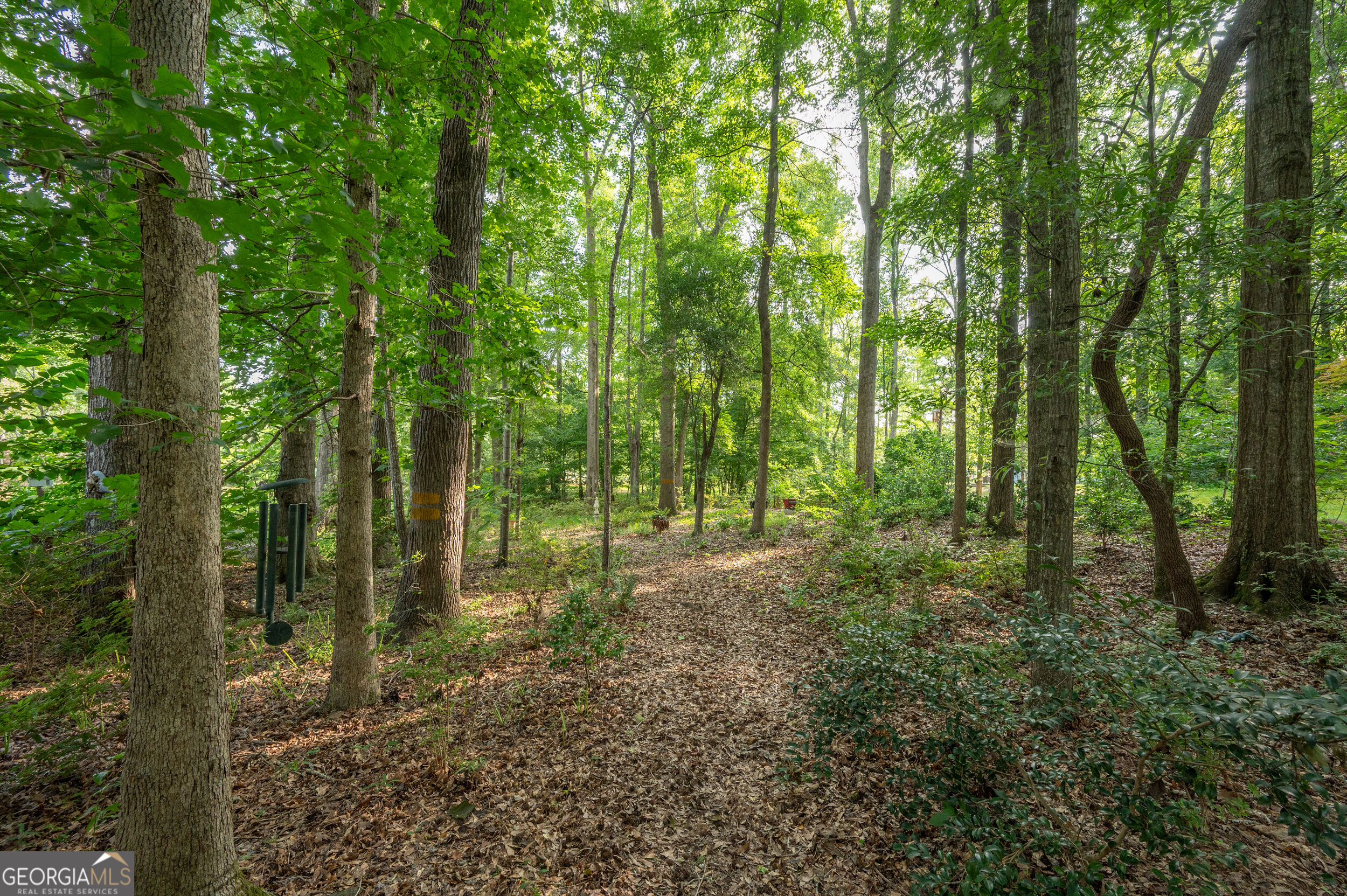 285 Dollar Road Property Photo 57