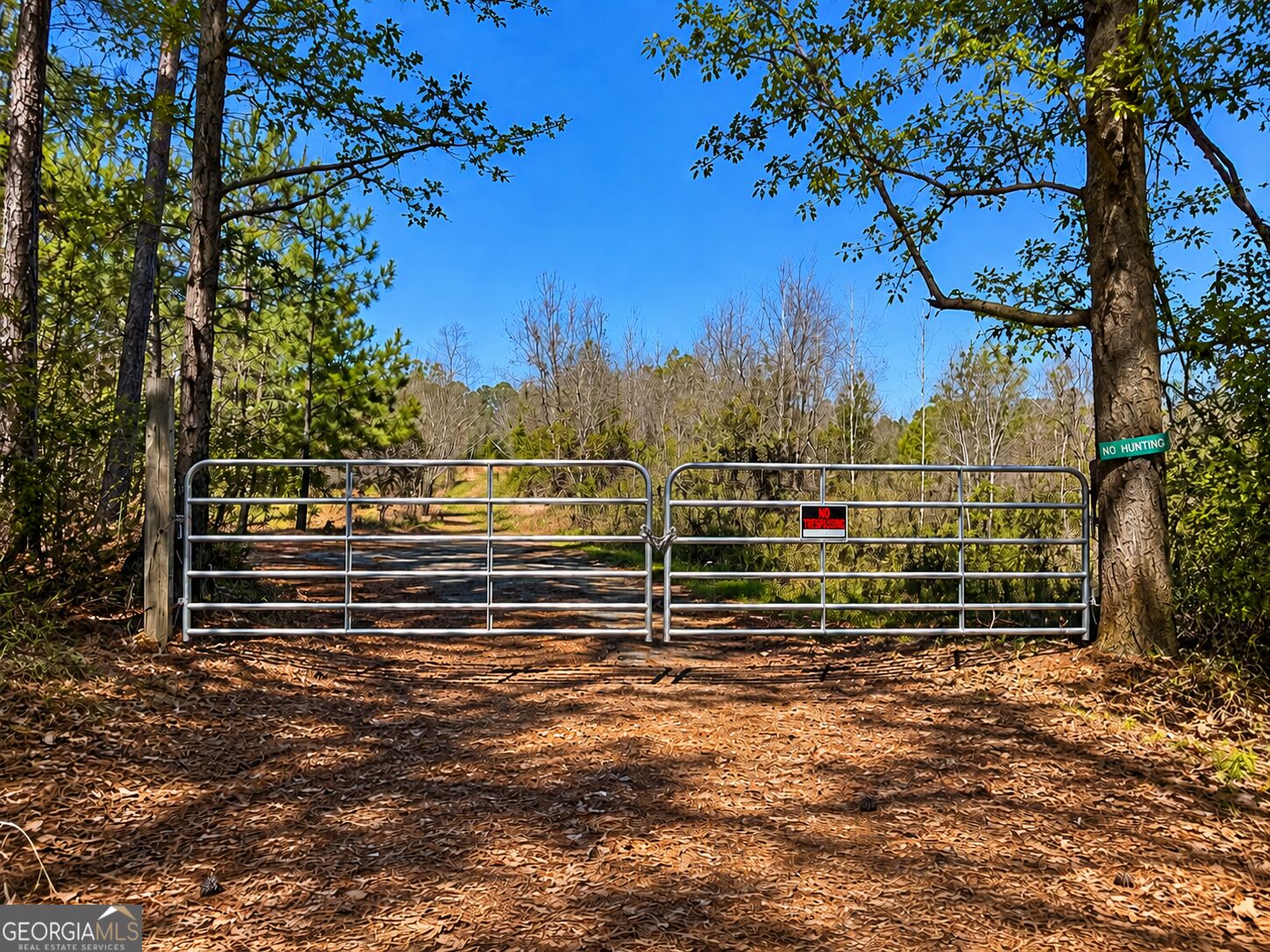 103 Acres Pobiddy Road Property Photo 3
