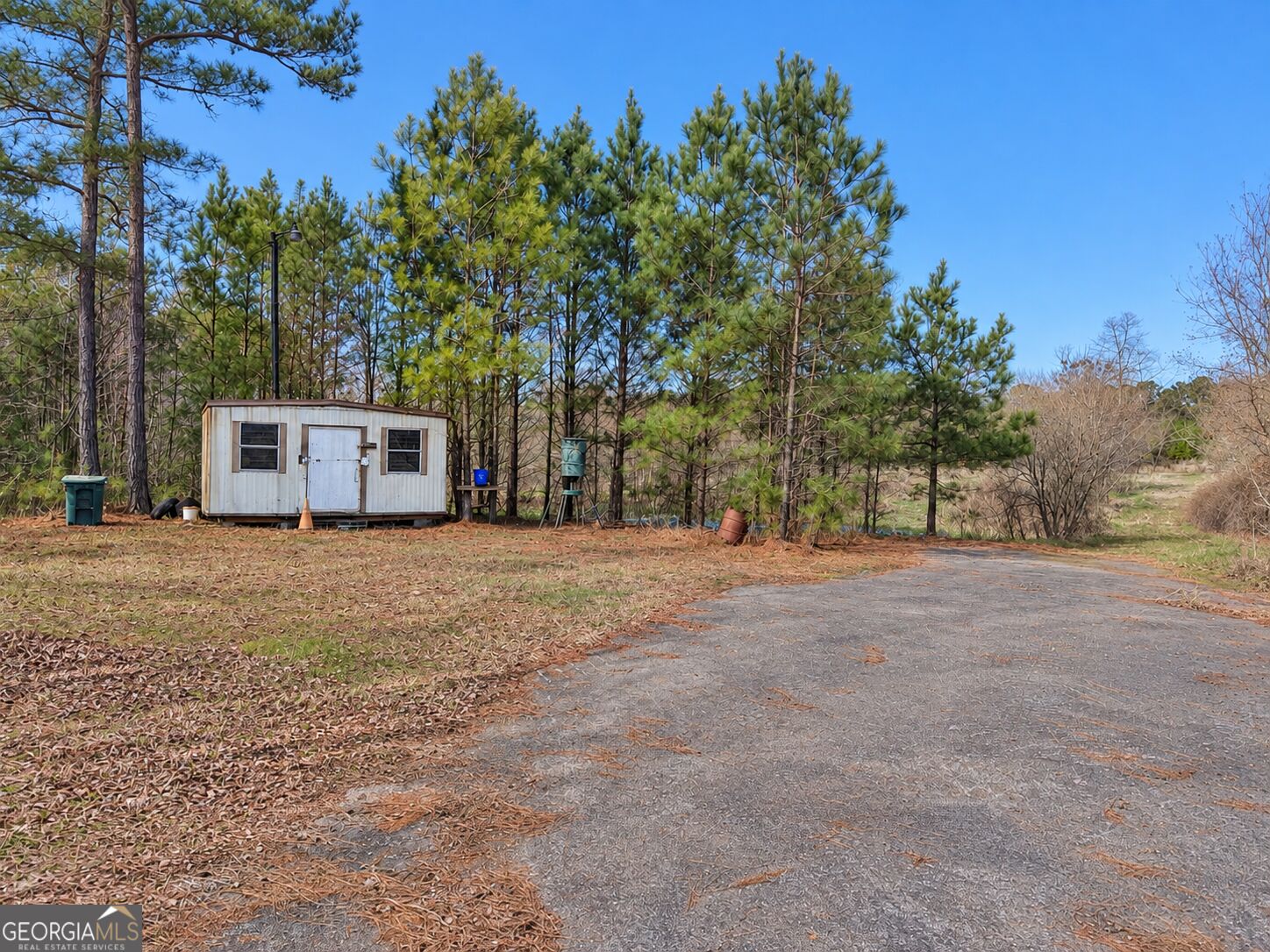 103 Acres Pobiddy Road Property Photo 4