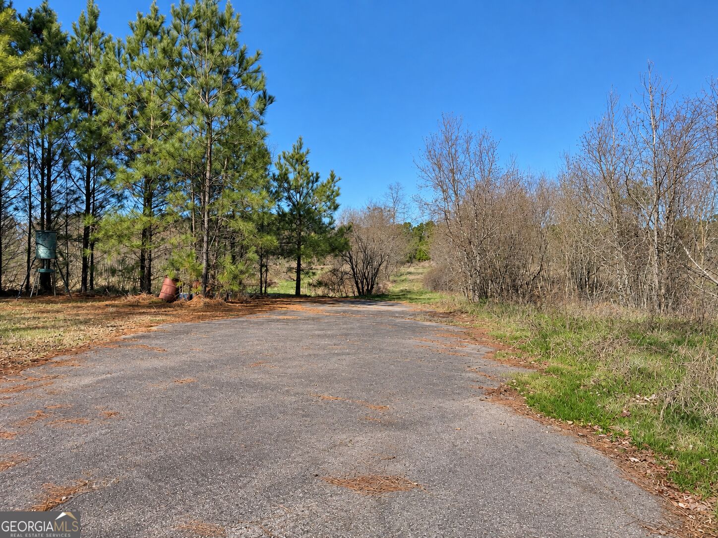 103 Acres Pobiddy Road Property Photo 5