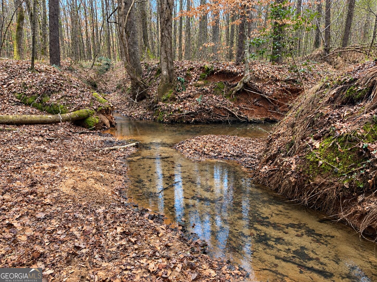 103 Acres Pobiddy Road Property Photo 6