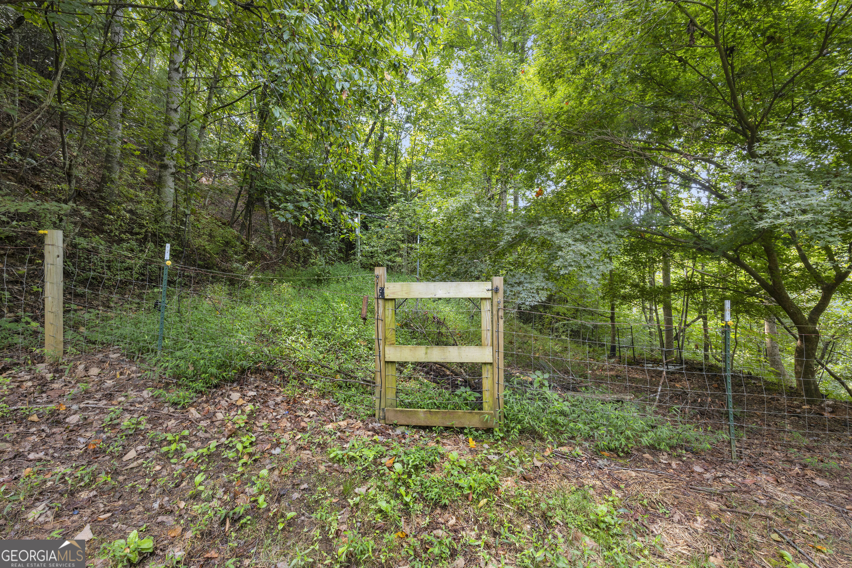 549 Travaden Trail Property Photo 38
