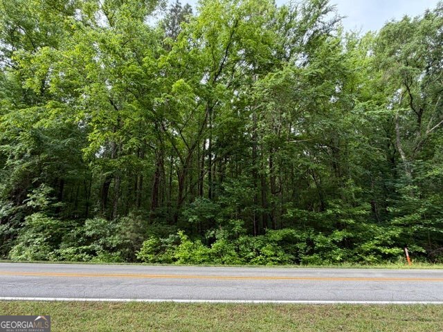 0 Hawkins Academy Road Property Photo 1