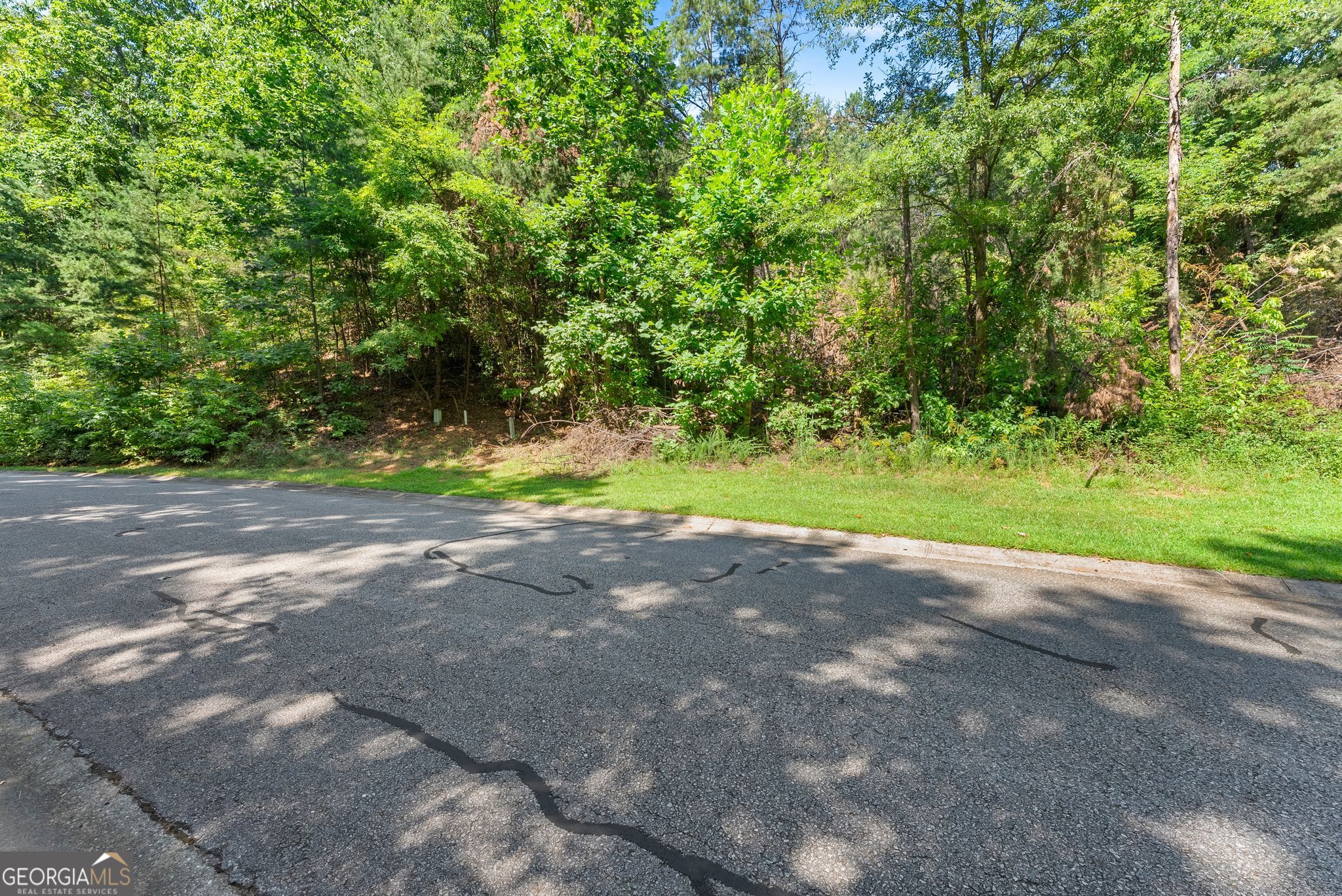 0 Raspberry Lane #1502 Property Photo 1