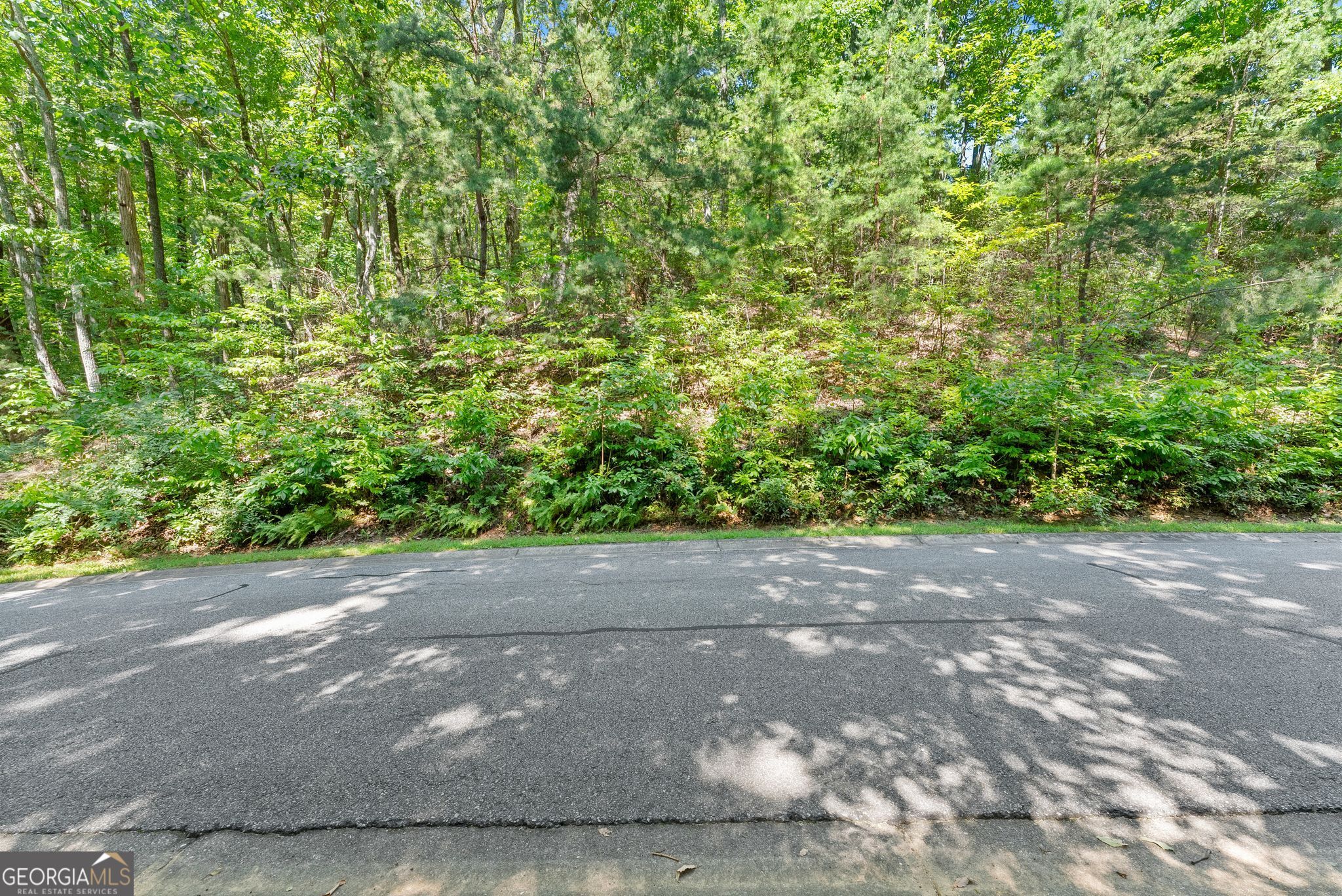 0 Raspberry Lane # 1502 Property Photo 4