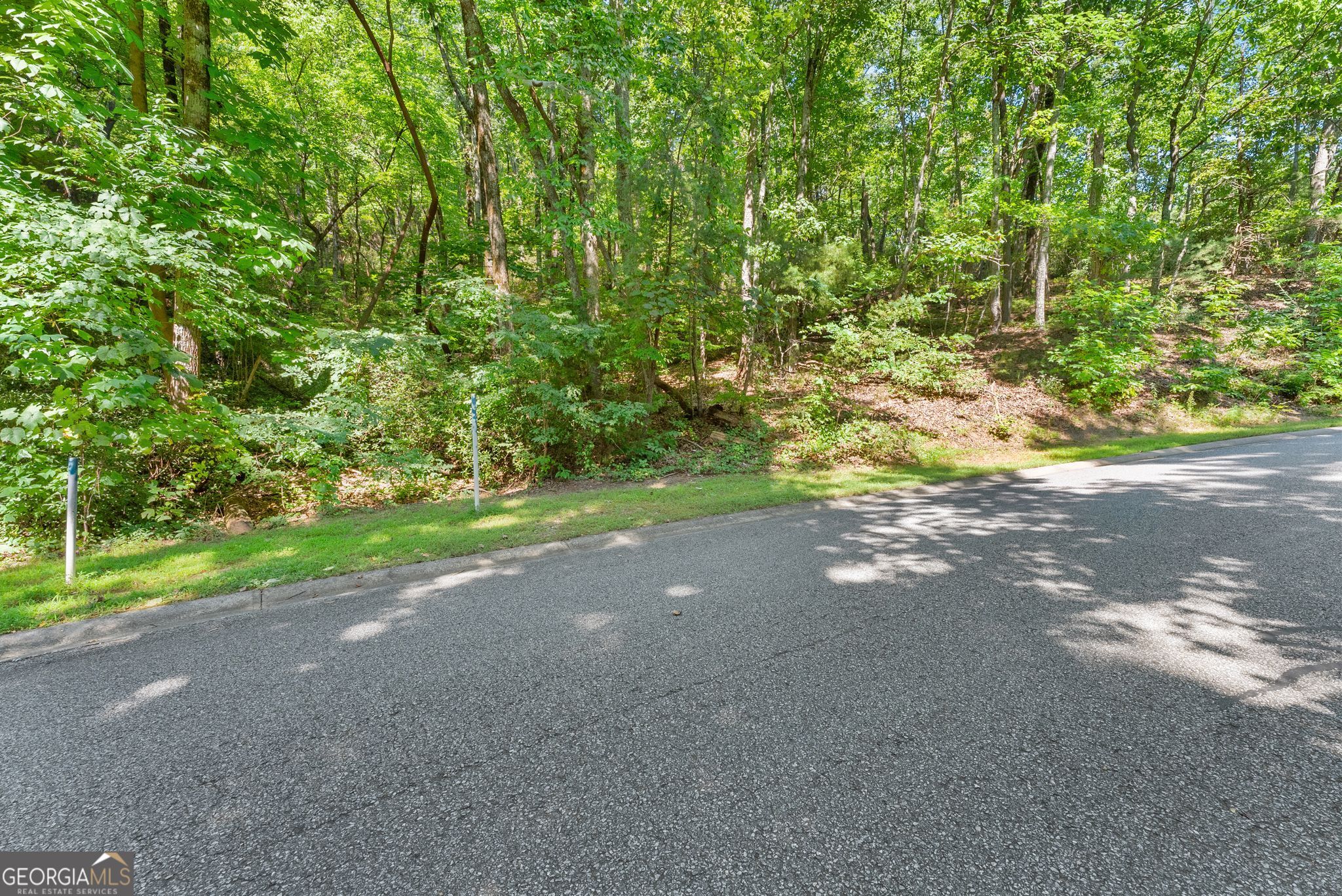 0 Raspberry Lane # 1502 Property Photo 6